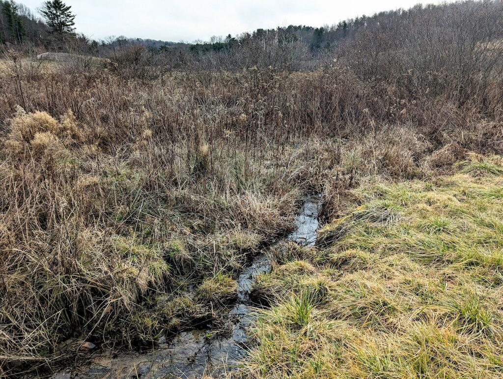 Mira Fork Rd, Willis, Virginia image 4