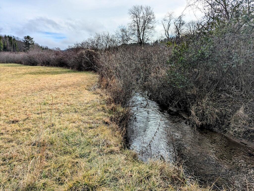 Mira Fork Rd, Willis, Virginia image 6