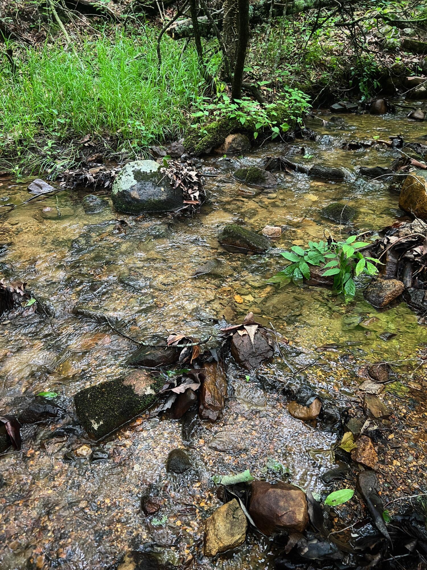 Robinson Tract Rd, Pulaski, Virginia image 37