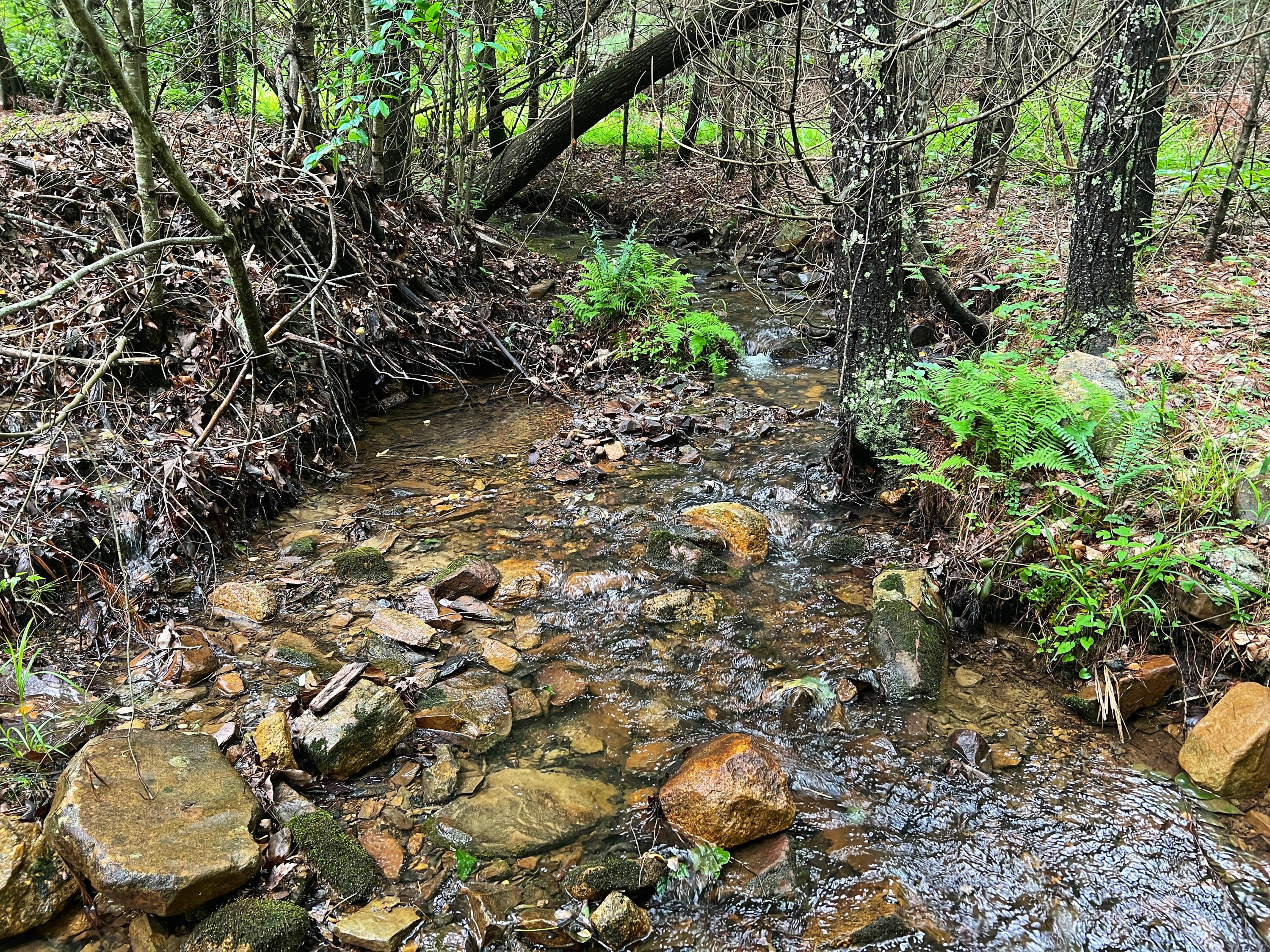 Robinson Tract Rd, Pulaski, Virginia image 30