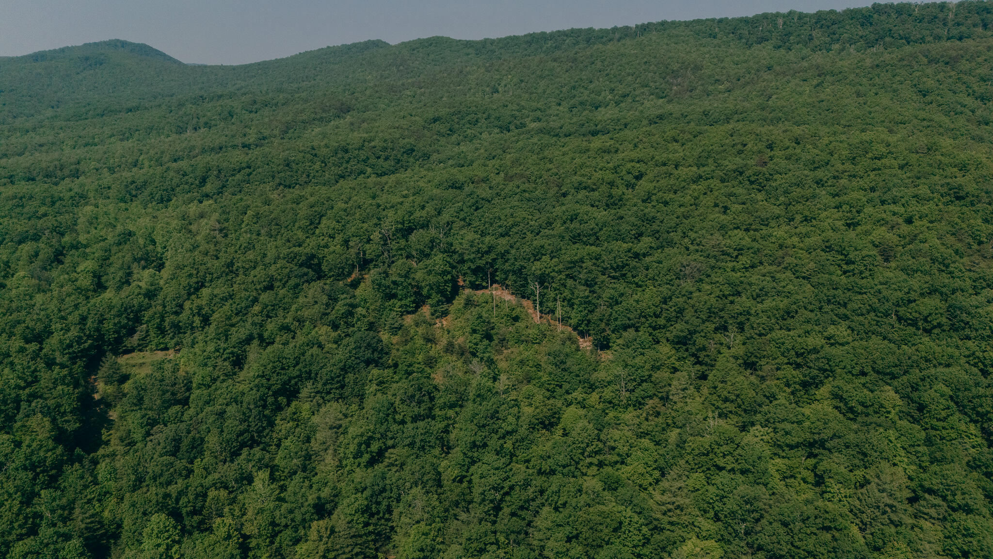 Robinson Tract Rd, Pulaski, Virginia image 17