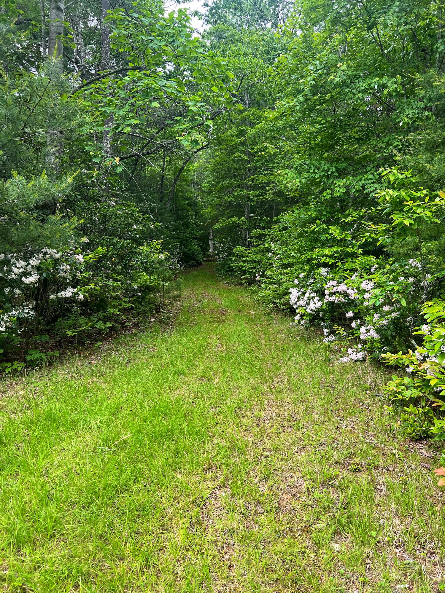 Robinson Tract Rd, Pulaski, Virginia image 36