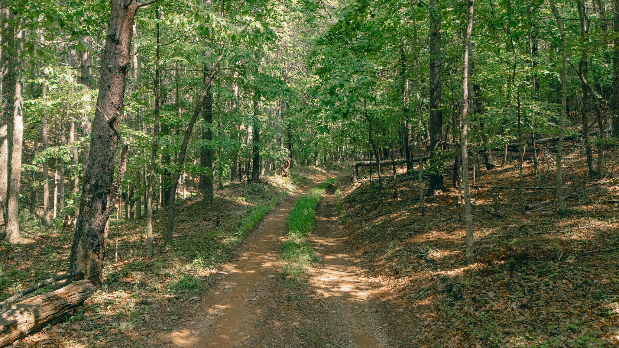 Robinson Tract Rd, Pulaski, Virginia image 8