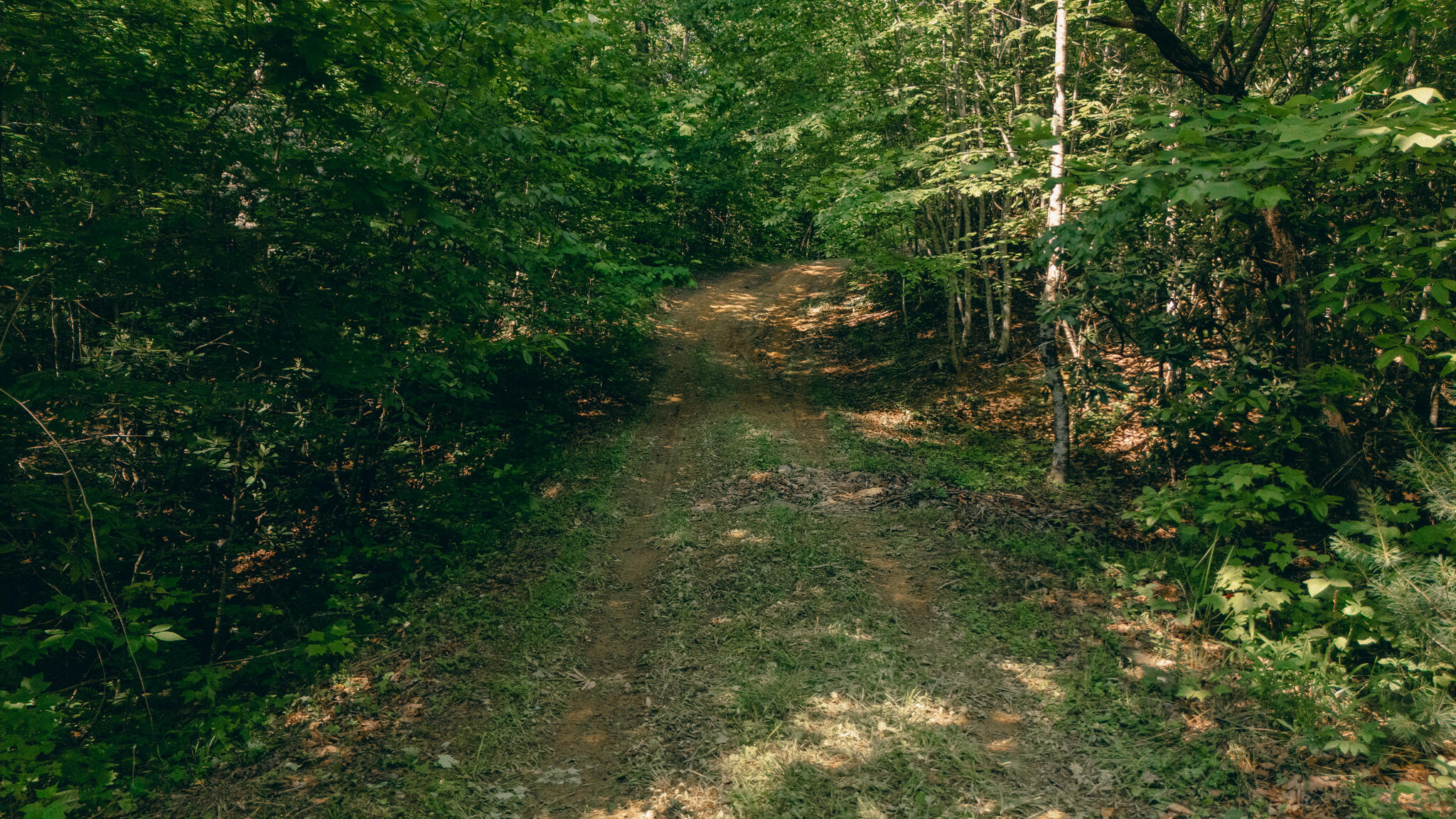 Robinson Tract Rd, Pulaski, Virginia image 9