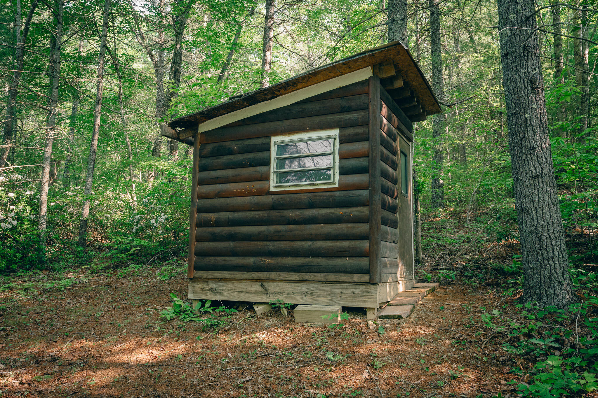 Robinson Tract Rd, Pulaski, Virginia image 7