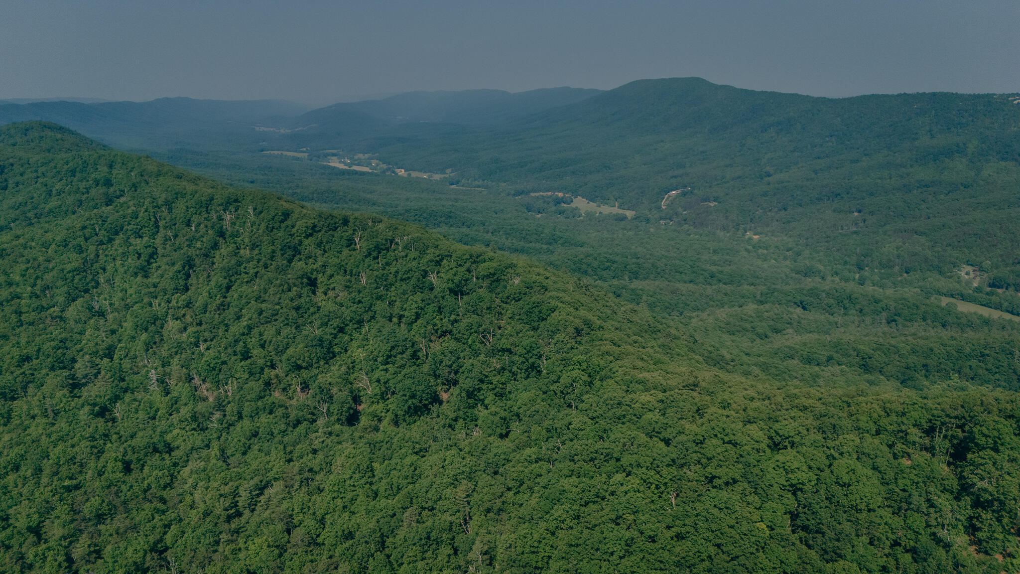Robinson Tract Rd, Pulaski, Virginia image 12