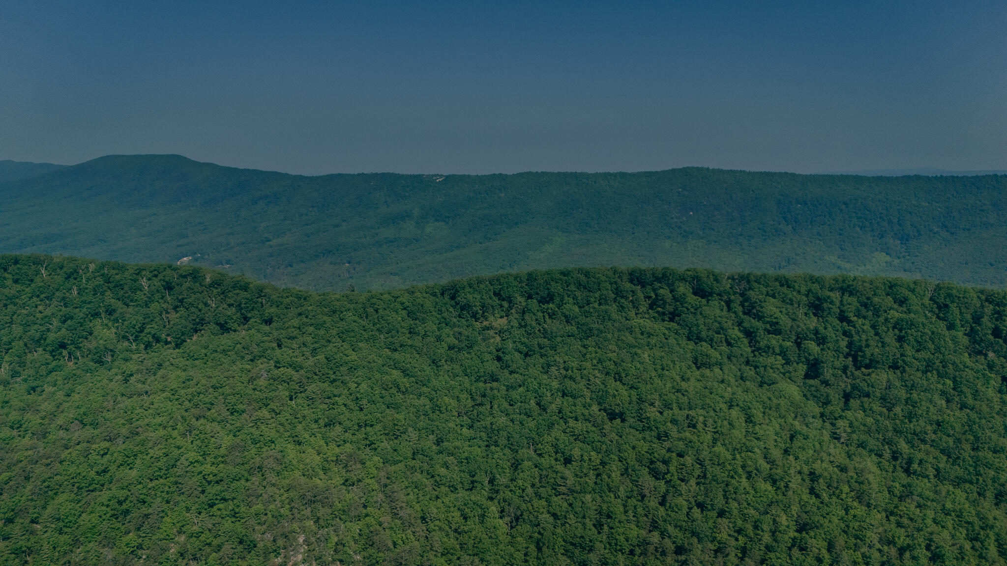 Robinson Tract Rd, Pulaski, Virginia image 14