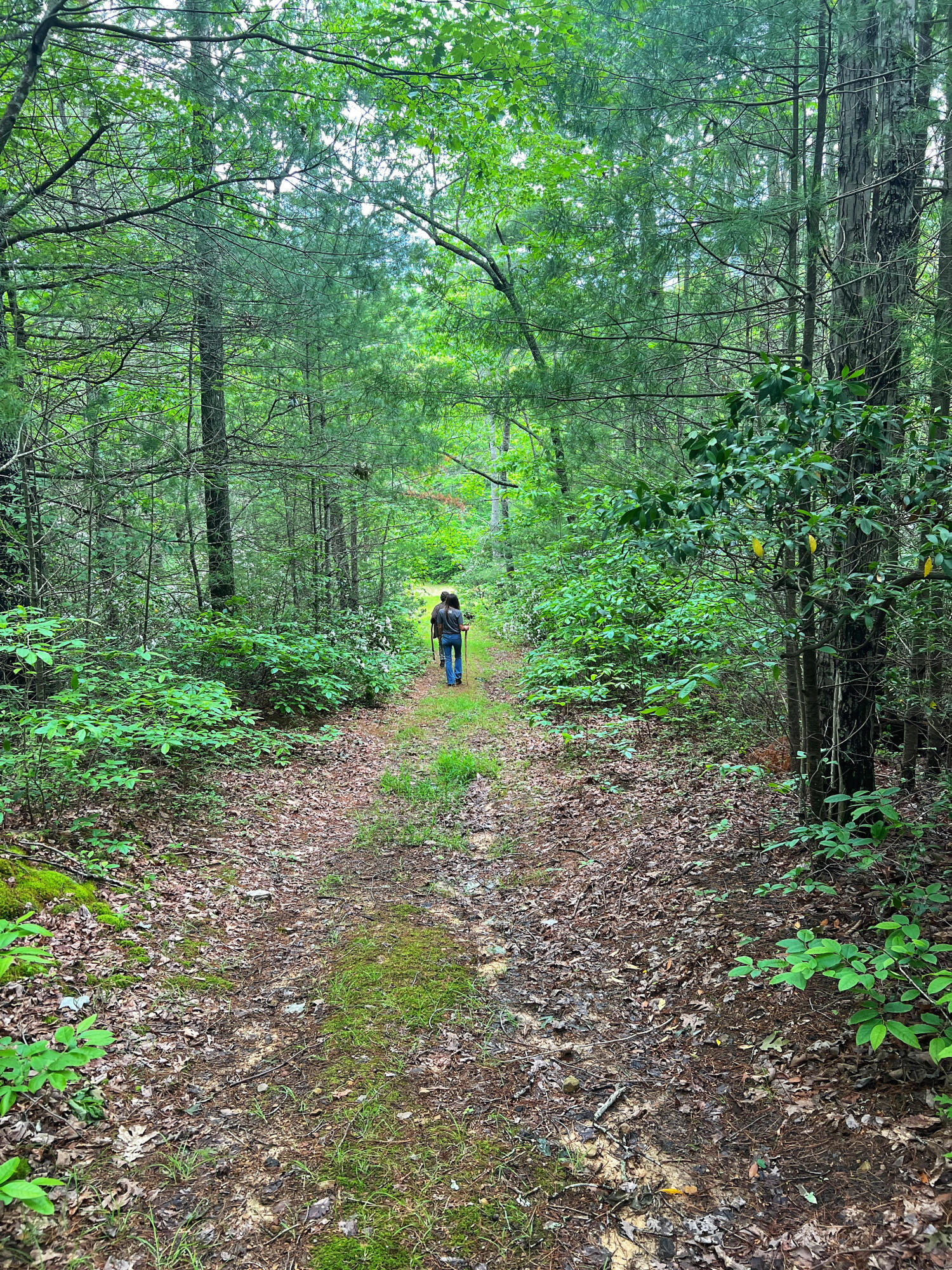 Robinson Tract Rd, Pulaski, Virginia image 32