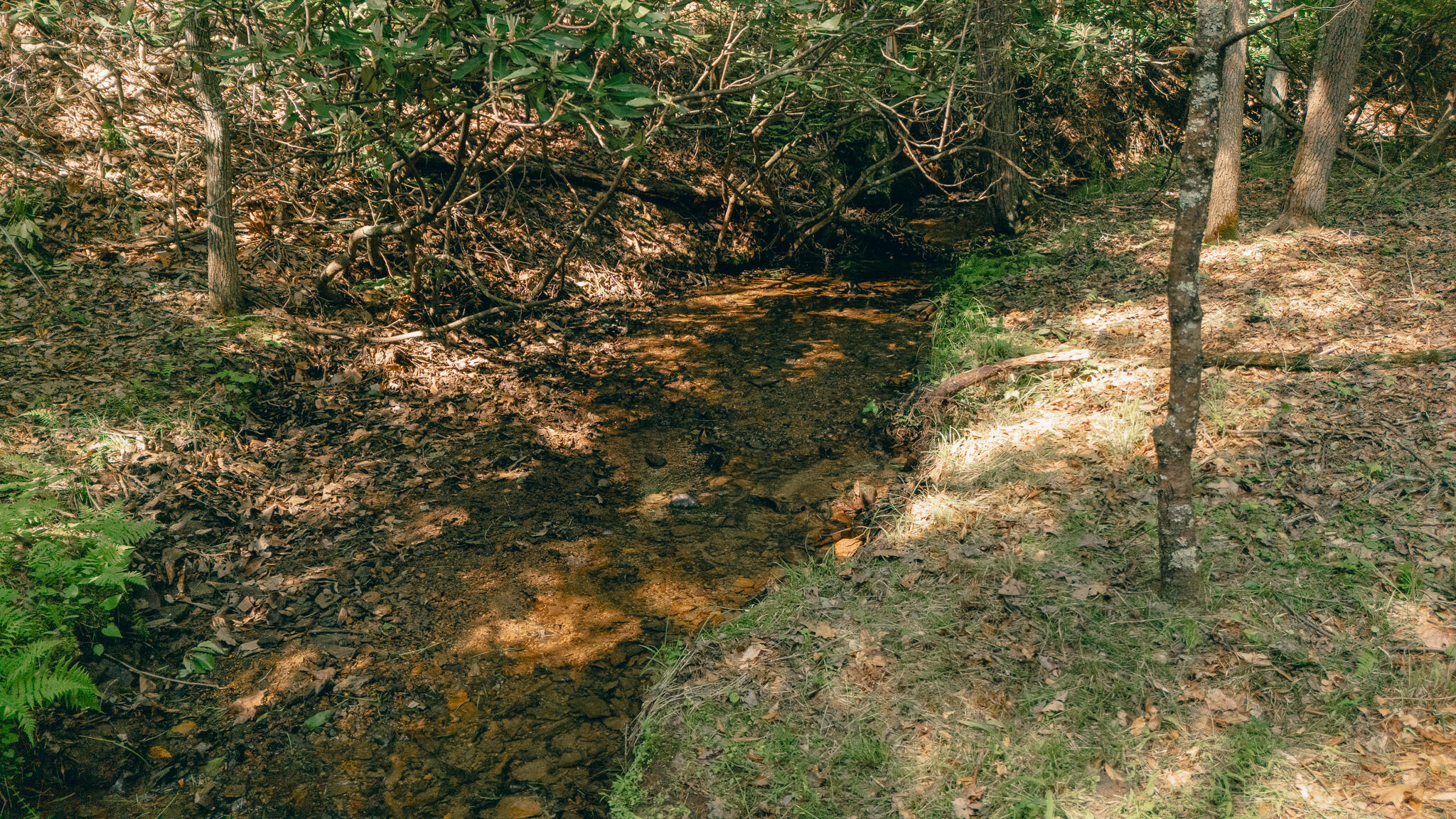 Robinson Tract Rd, Pulaski, Virginia image 10