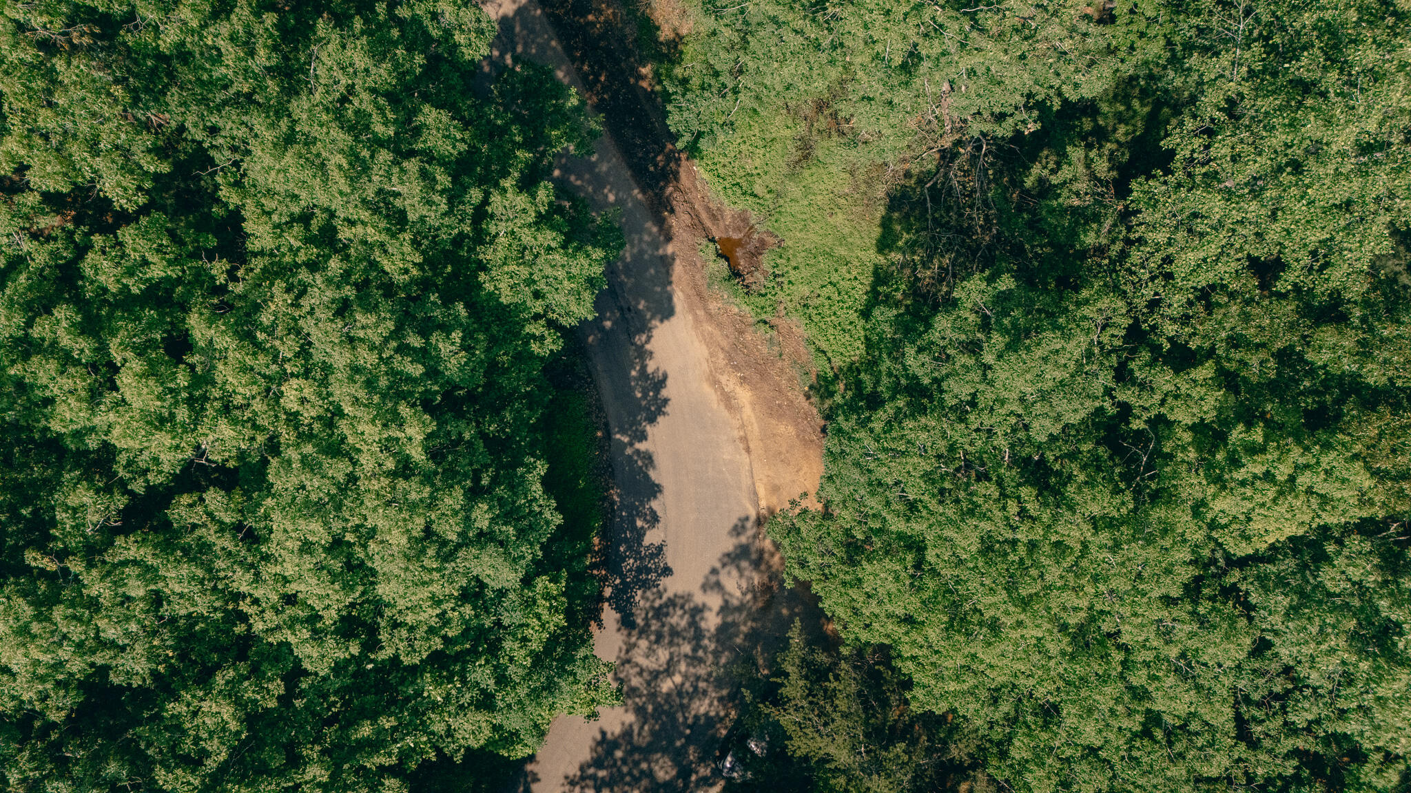 Robinson Tract Rd, Pulaski, Virginia image 16