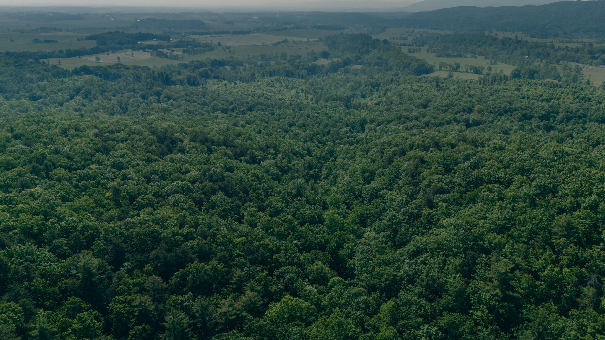 Robinson Tract Rd, Pulaski, Virginia image 11