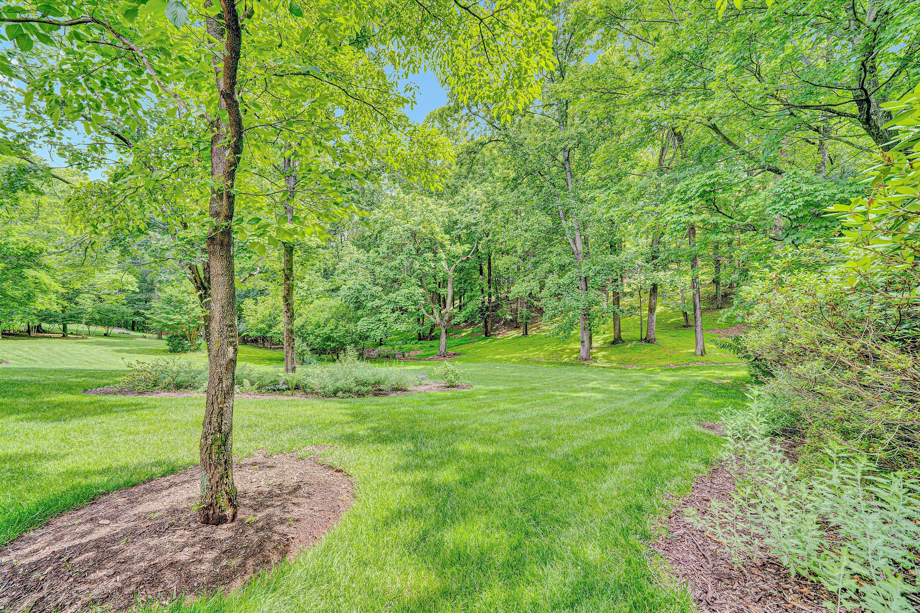 5378 Chaucers Ct, Roanoke, Virginia image 48