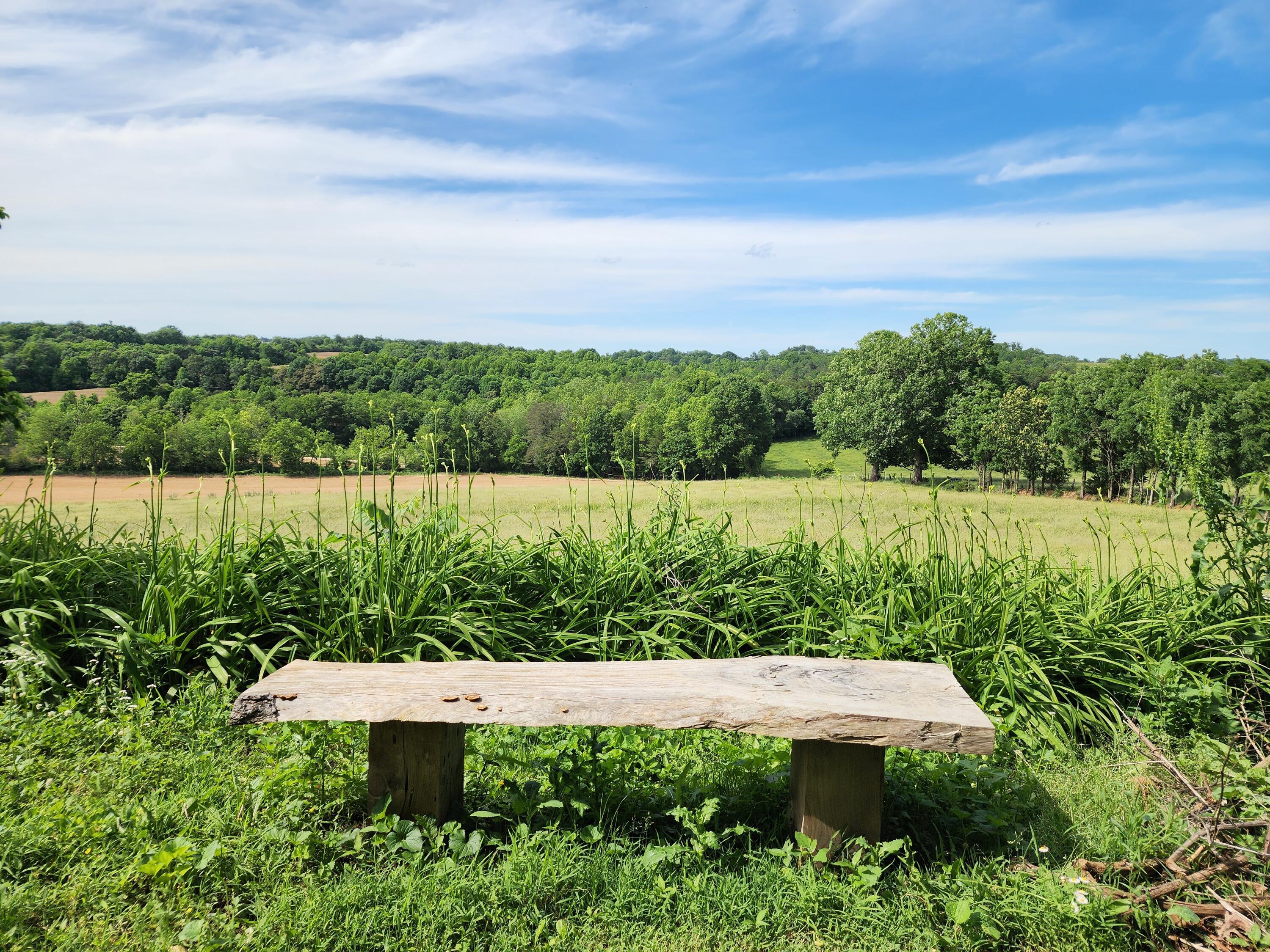 Rocky Mount, Virginia 24151, United States, 4 Bedrooms Bedrooms, ,4 BathroomsBathrooms,Residential,Active,202015