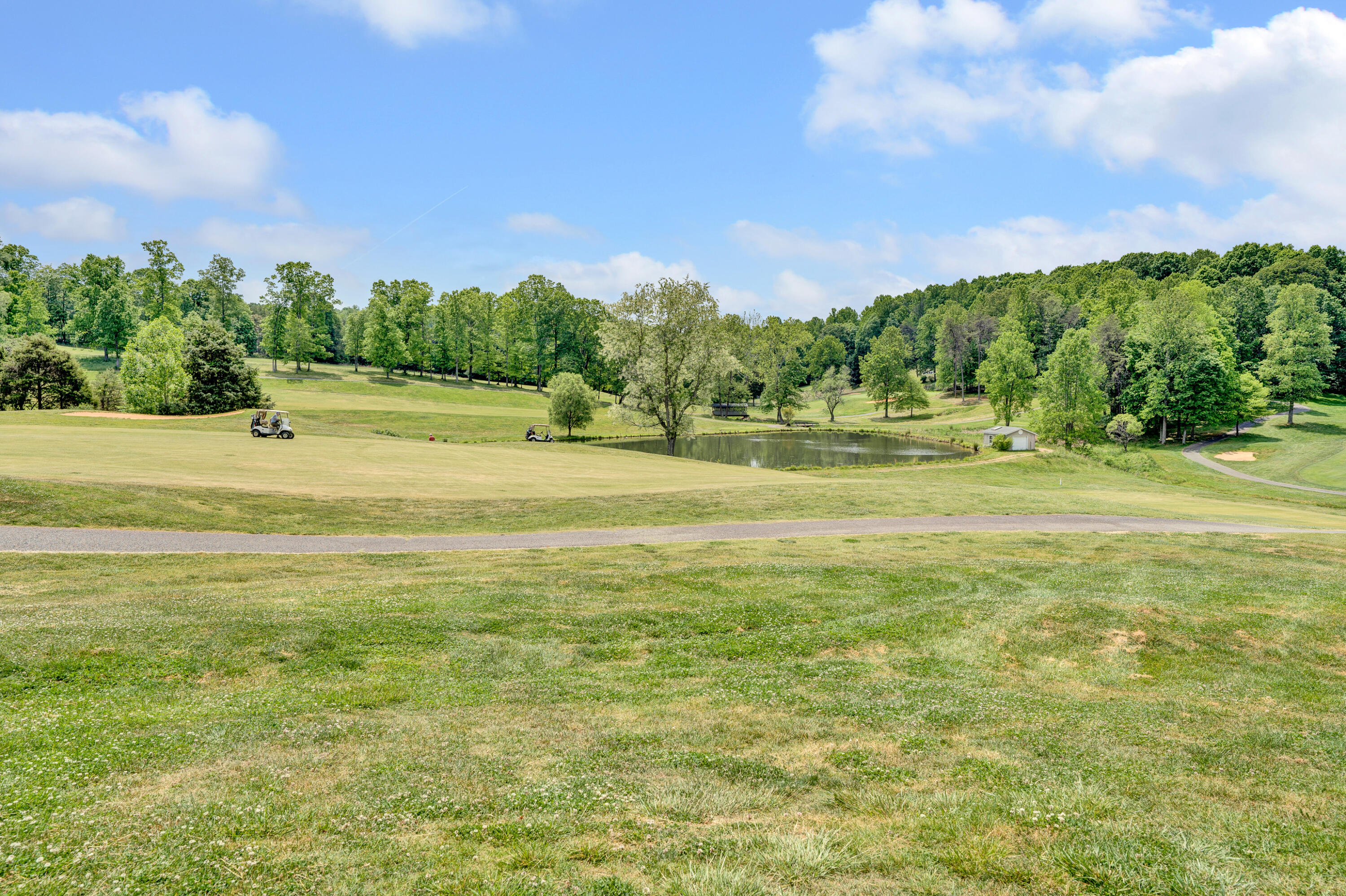 56 Scarlet St, Hardy, Virginia image 37