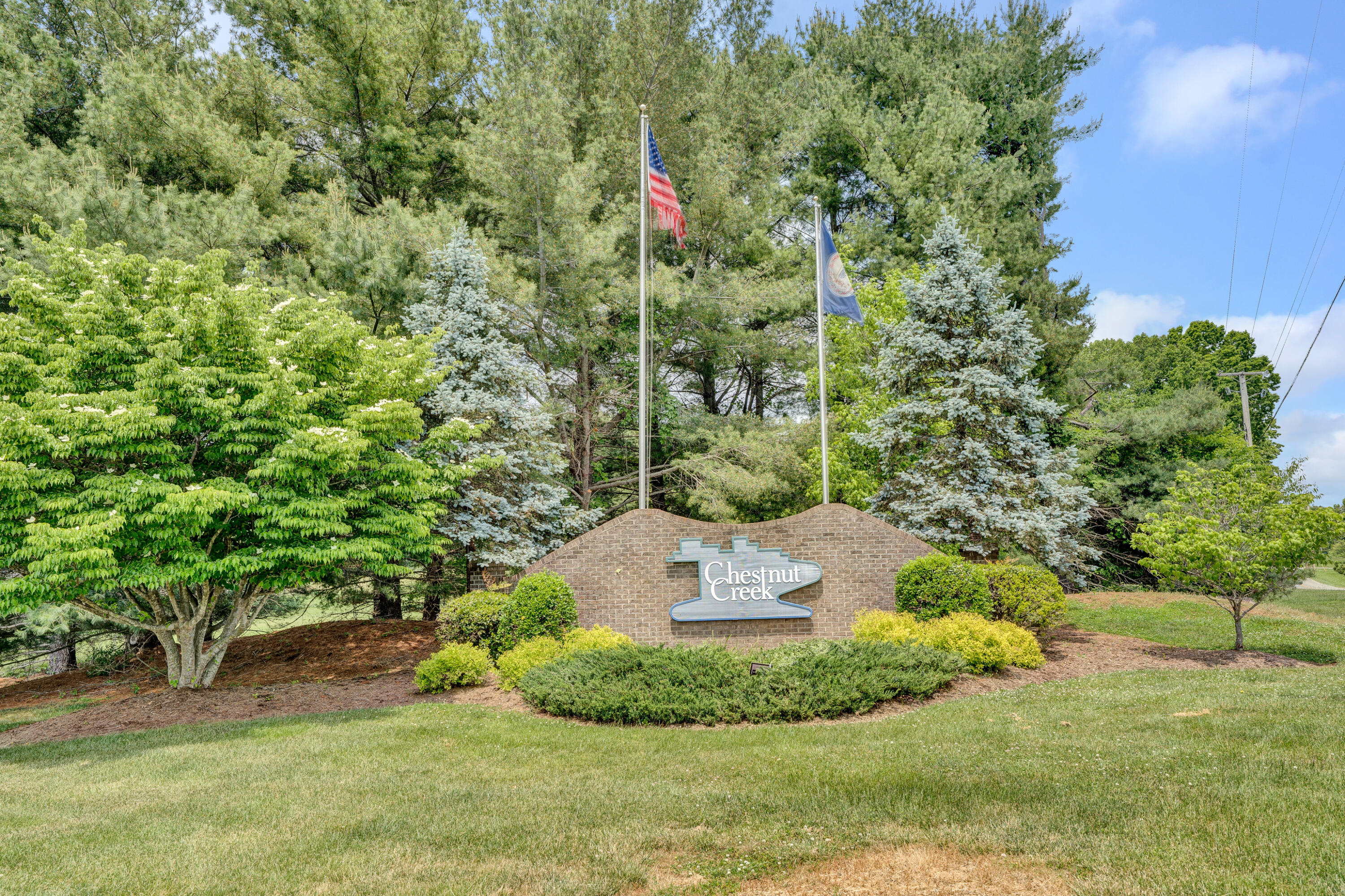 56 Scarlet St, Hardy, Virginia image 42
