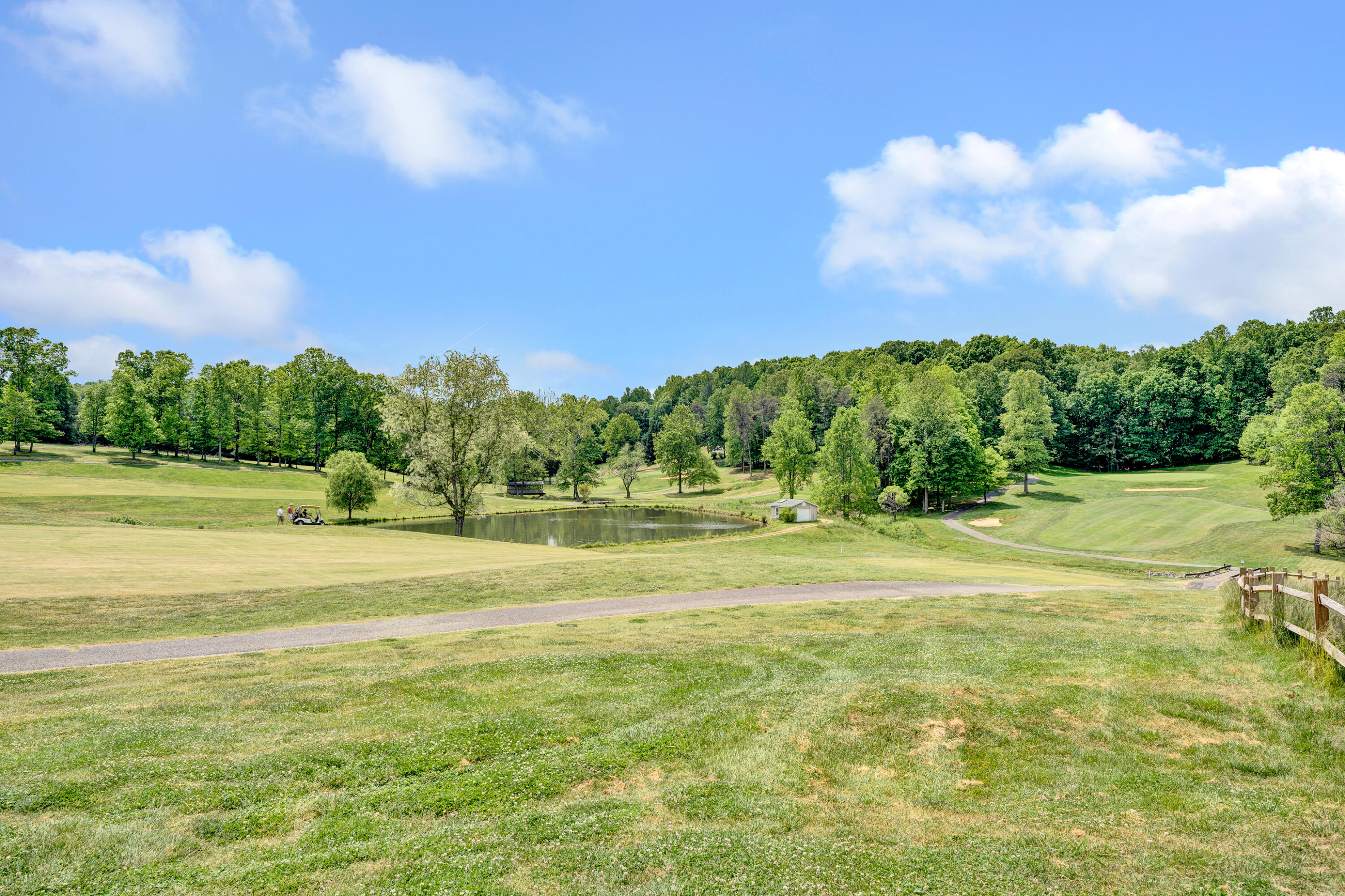 56 Scarlet St, Hardy, Virginia image 38