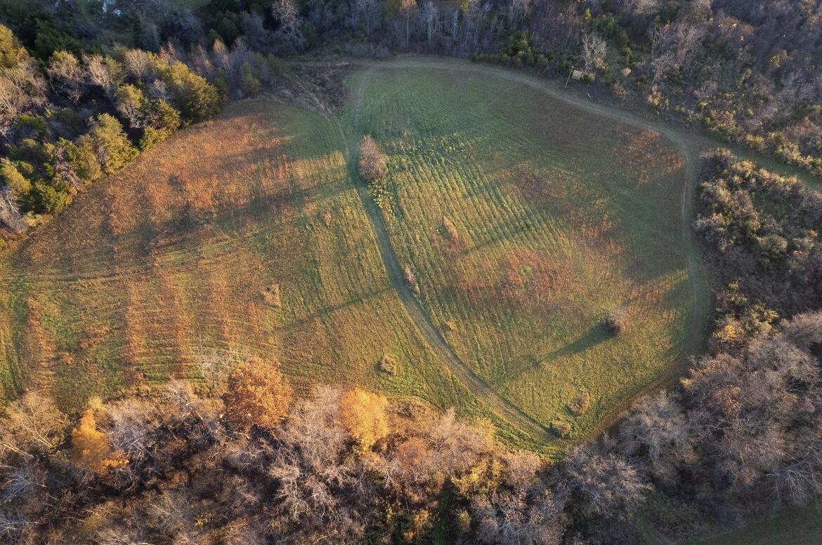 305 County Line Rd, Buchanan, Virginia image 8