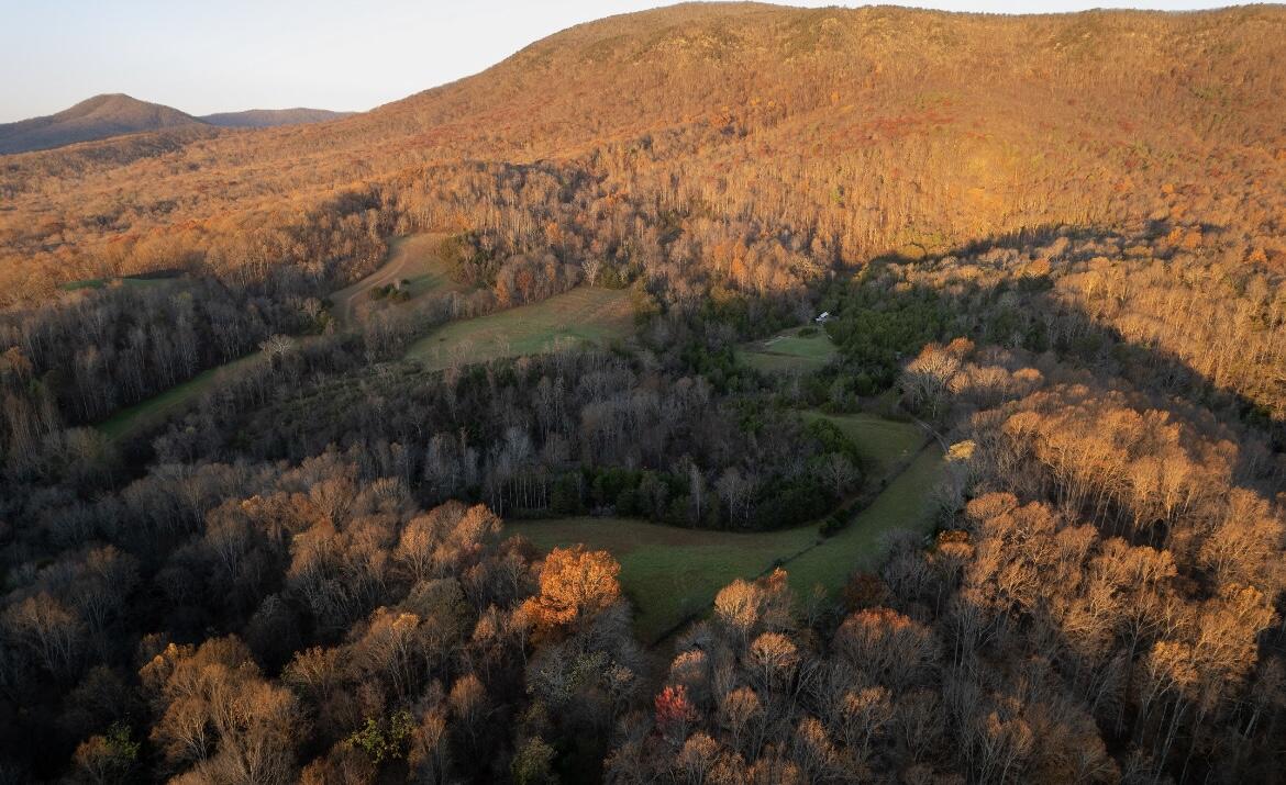 305 County Line Rd, Buchanan, Virginia image 9