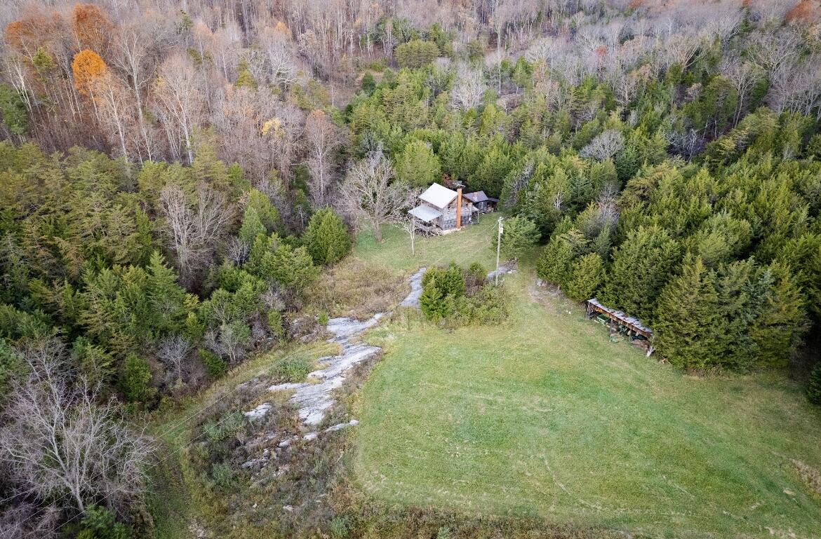 305 County Line Rd, Buchanan, Virginia image 4