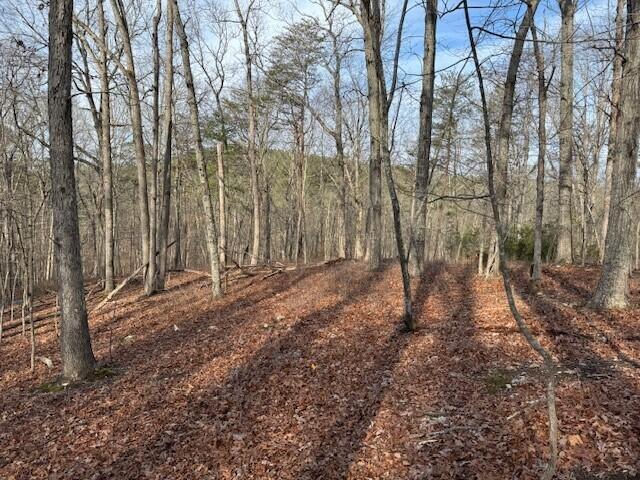 Lot 38 Chestnut Dr, Hardy, Virginia image 2