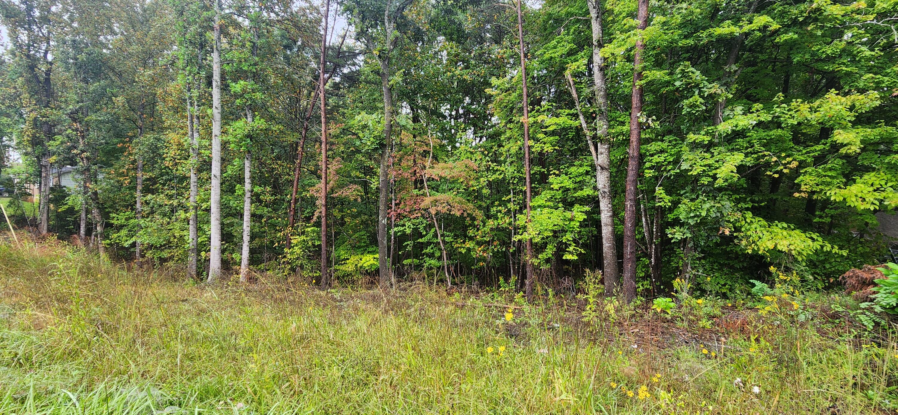 Lot 35/36 Circle View St, Rocky Mount, Virginia image 3