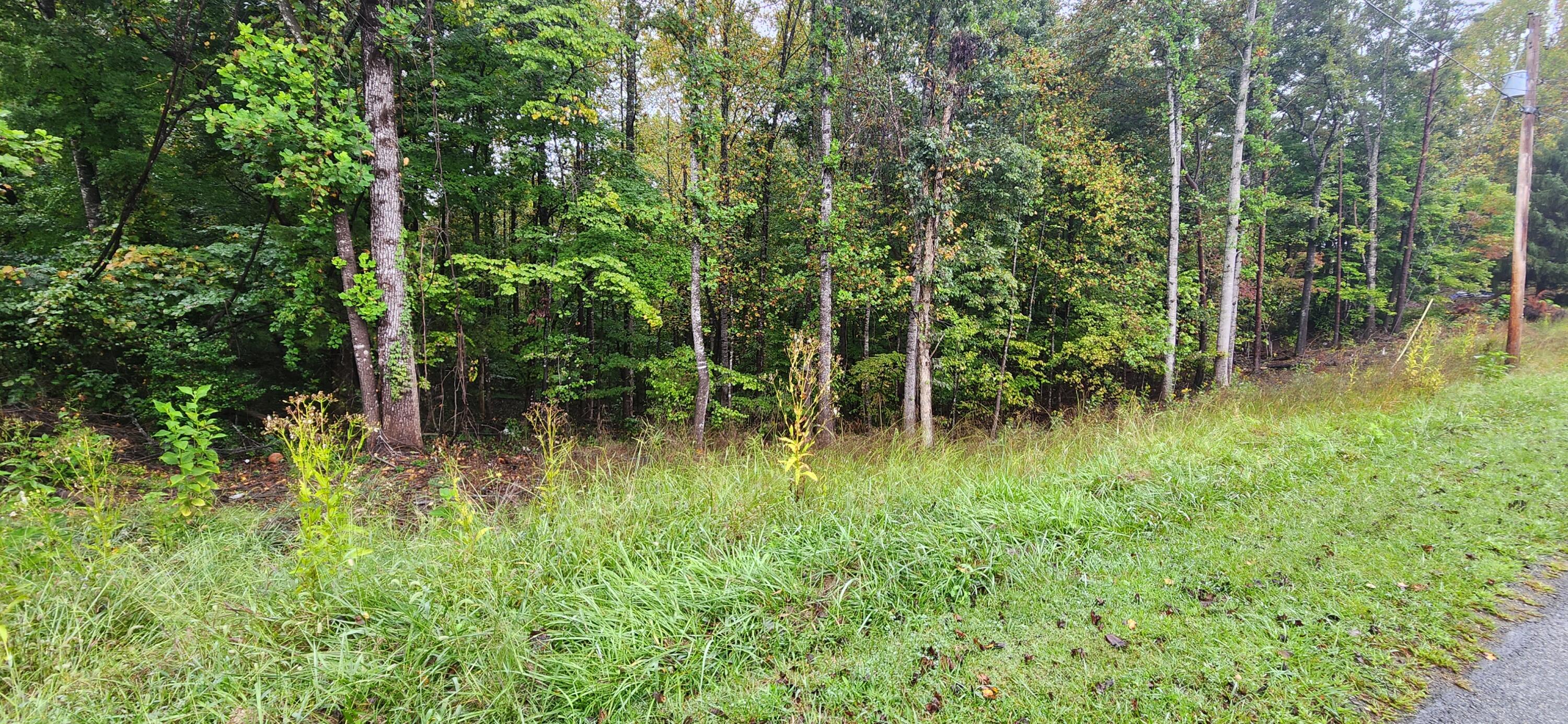 Lot 35/36 Circle View St, Rocky Mount, Virginia image 2