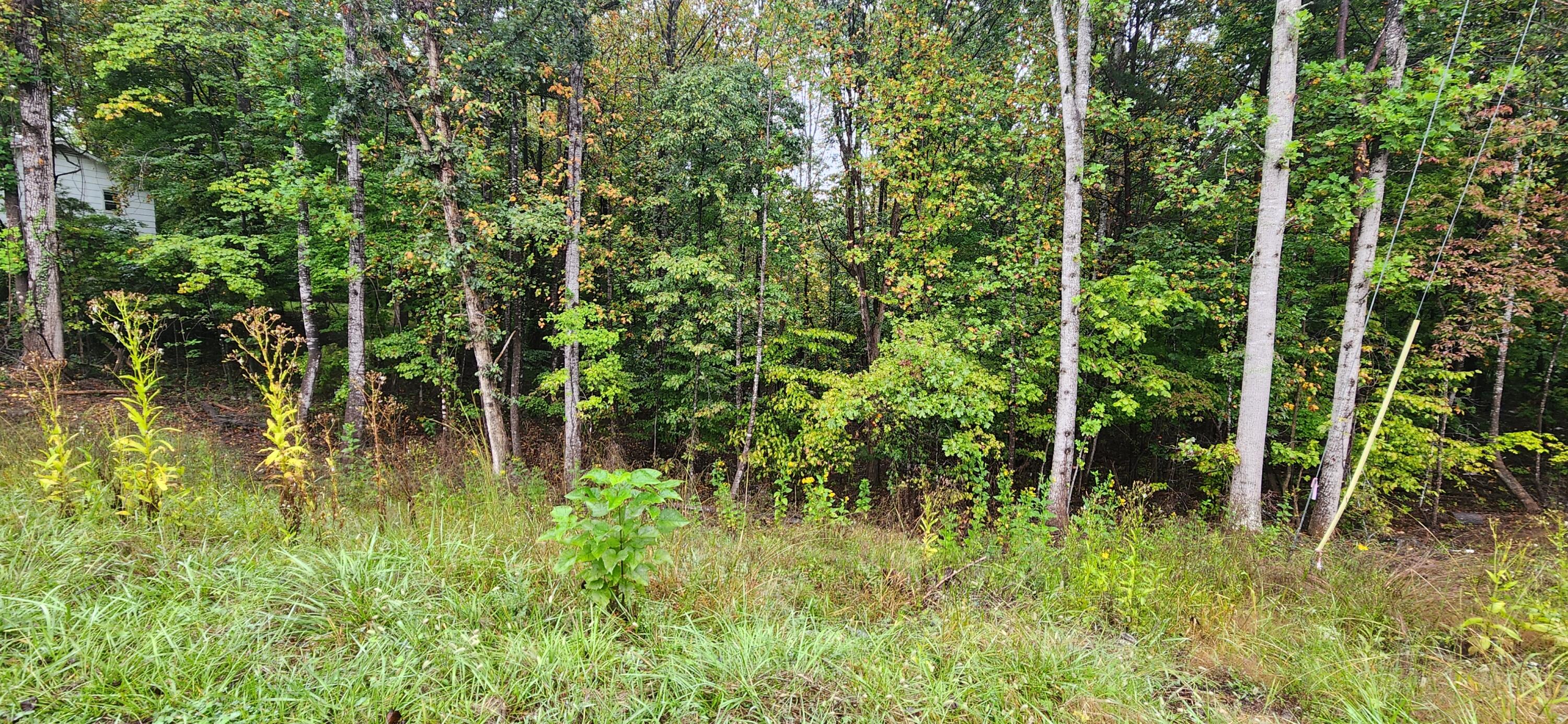 Lot 35/36 Circle View St, Rocky Mount, Virginia image 1