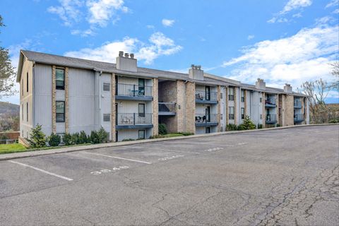 Condo For Sale - 3554 Timberline Trl<br/> Roanoke County, Roanoke, VA 24018