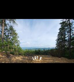 2985 REESE MOUNTAIN RD, ELLISTON, VA 24087 - Image 55c2a075fa5ca36a0798a5f82c2b2e7a/788468103