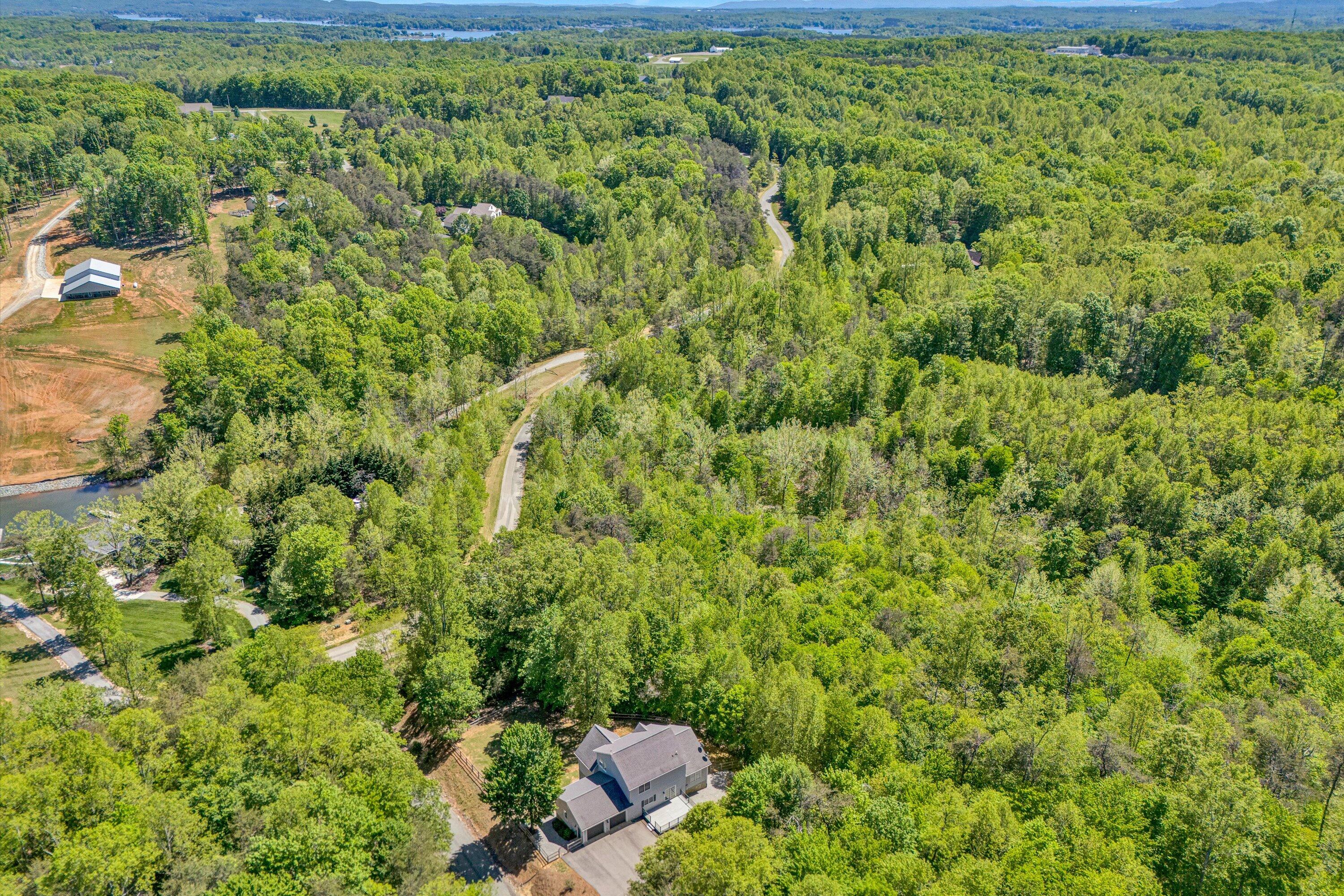 61 Cove Side Ln, Moneta, Virginia image 44