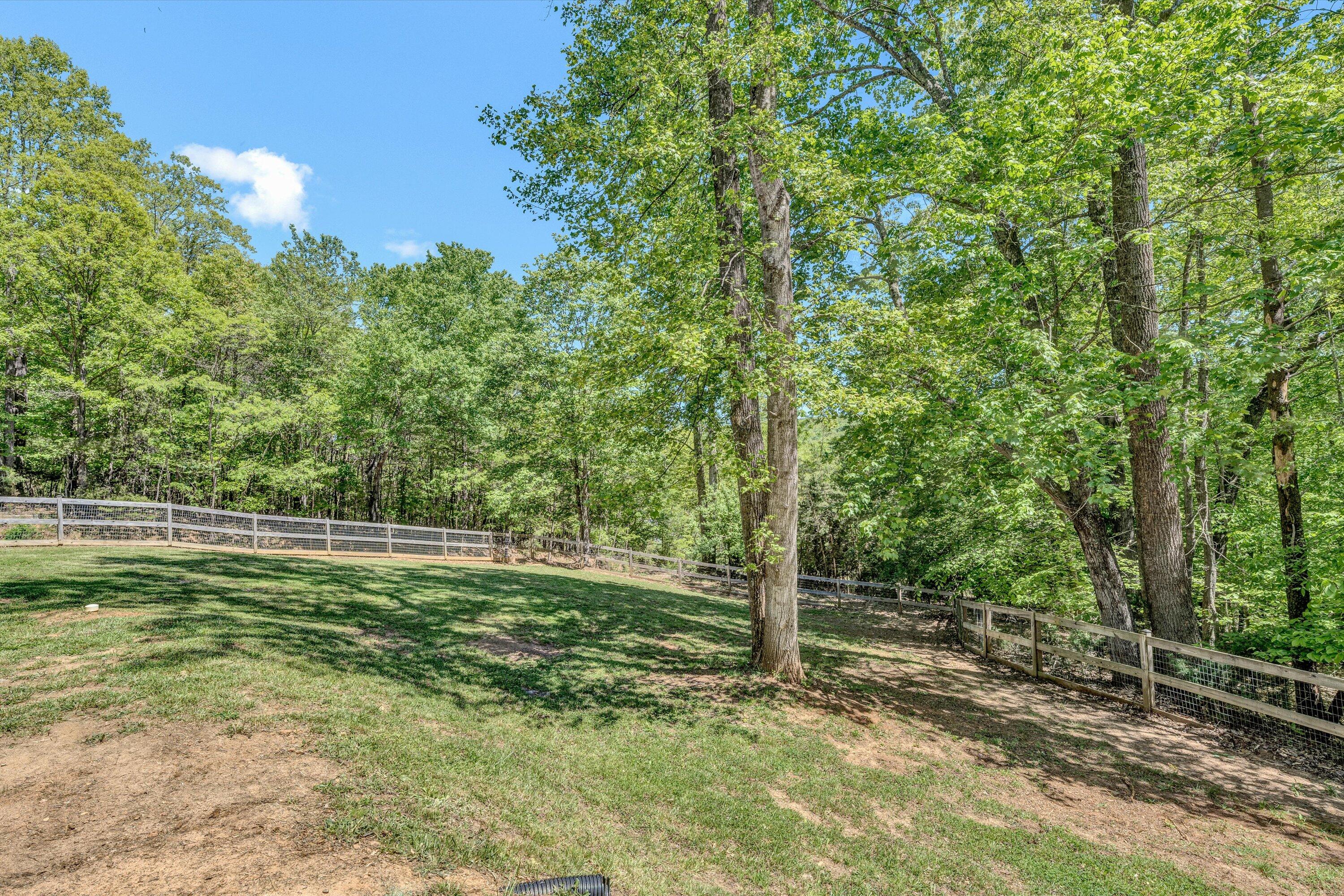 61 Cove Side Ln, Moneta, Virginia image 41