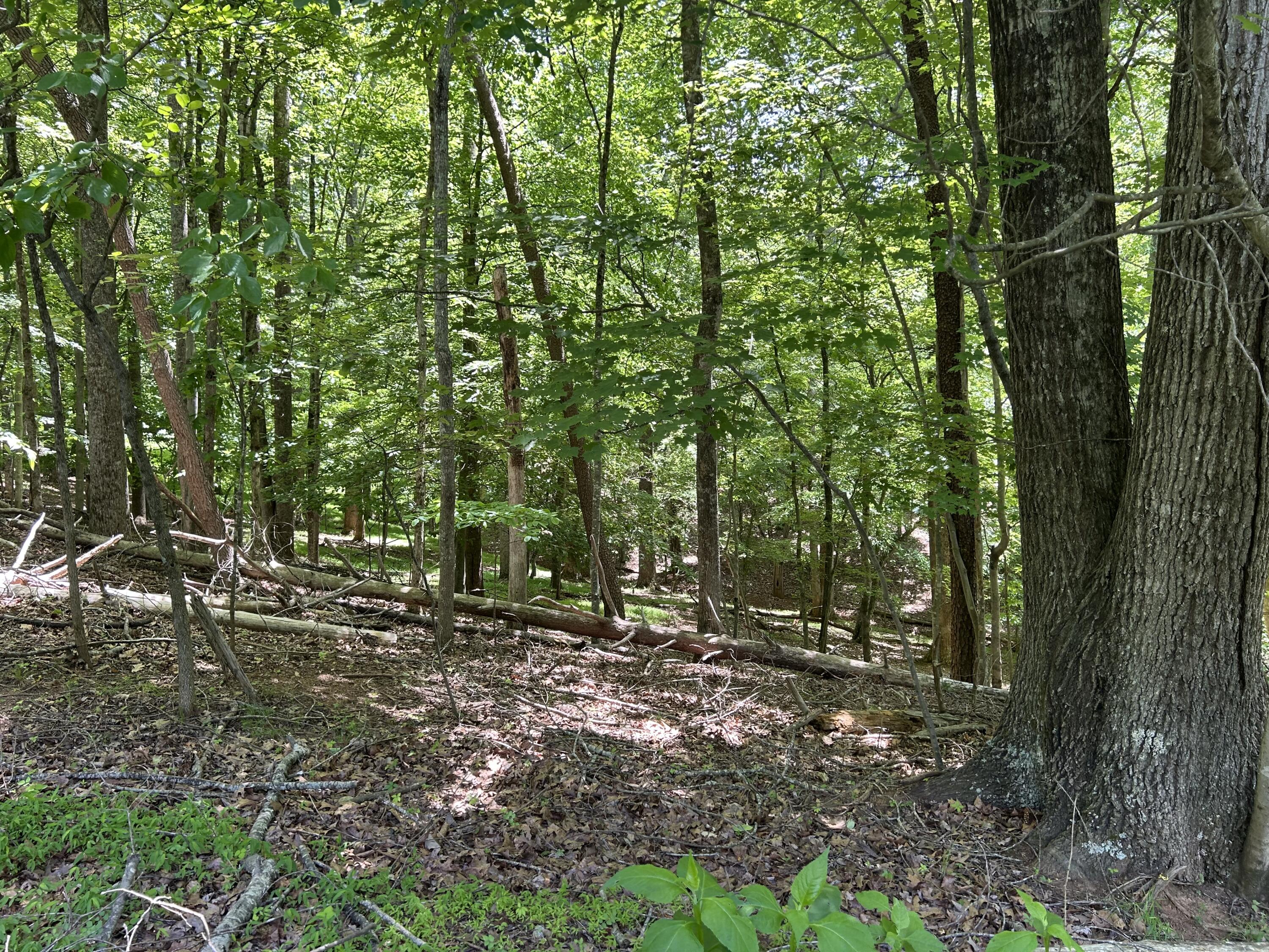 Lot 40 Old Mill Dr, Hardy, Virginia image 1