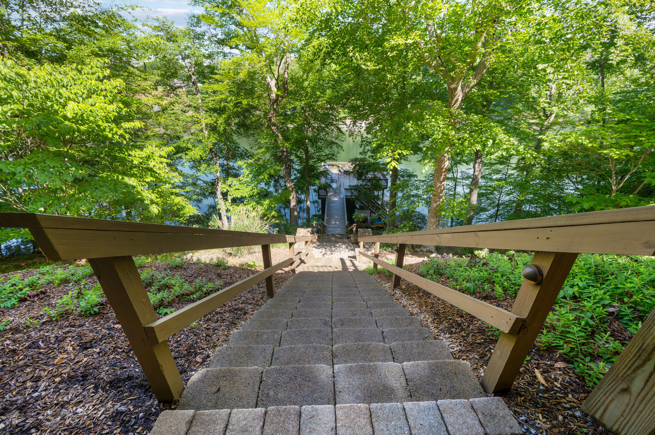 1359 Nicholas Ln, Moneta, Virginia image 46