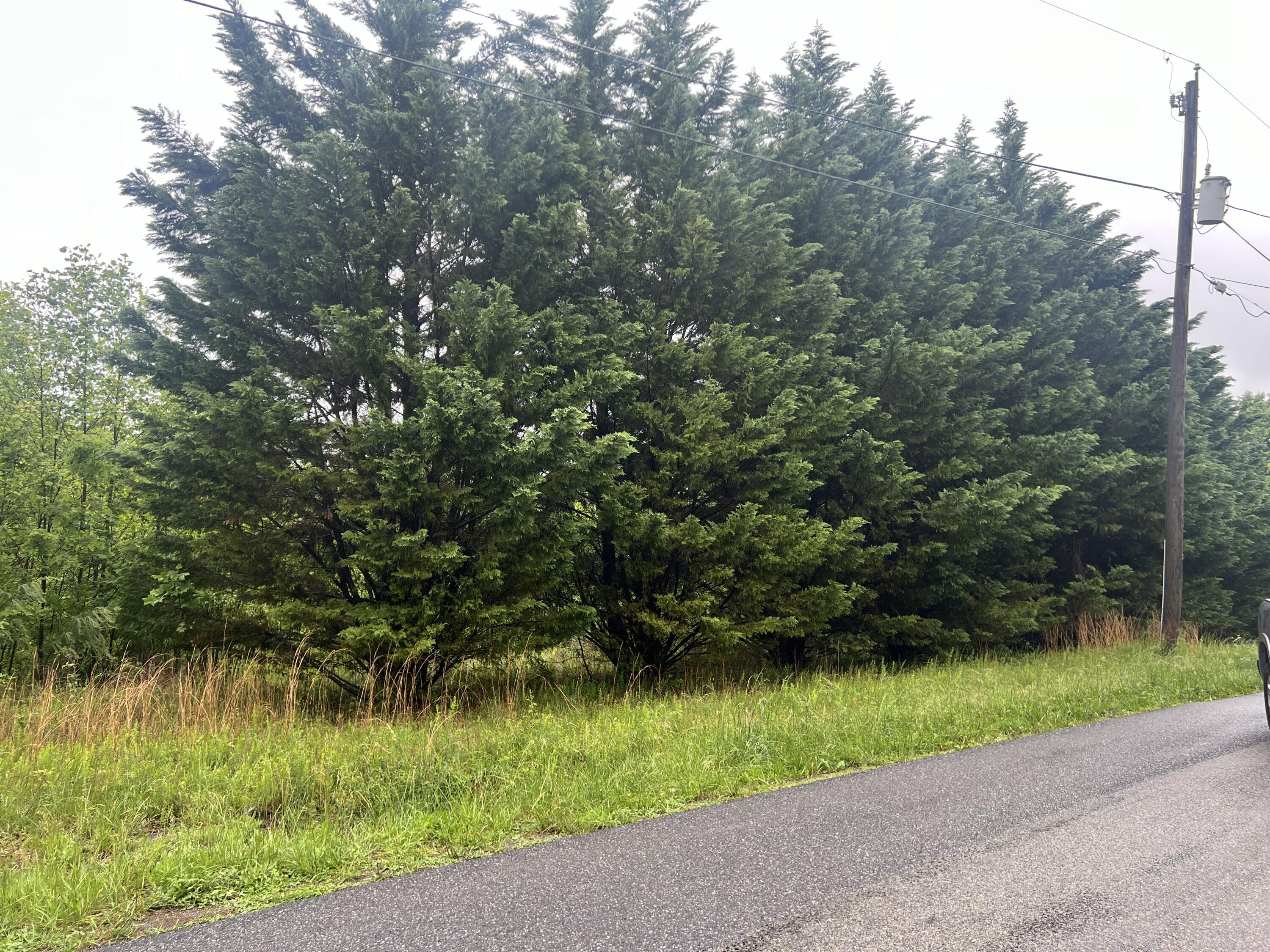 Nemmo Rd, Vinton, Virginia image 2