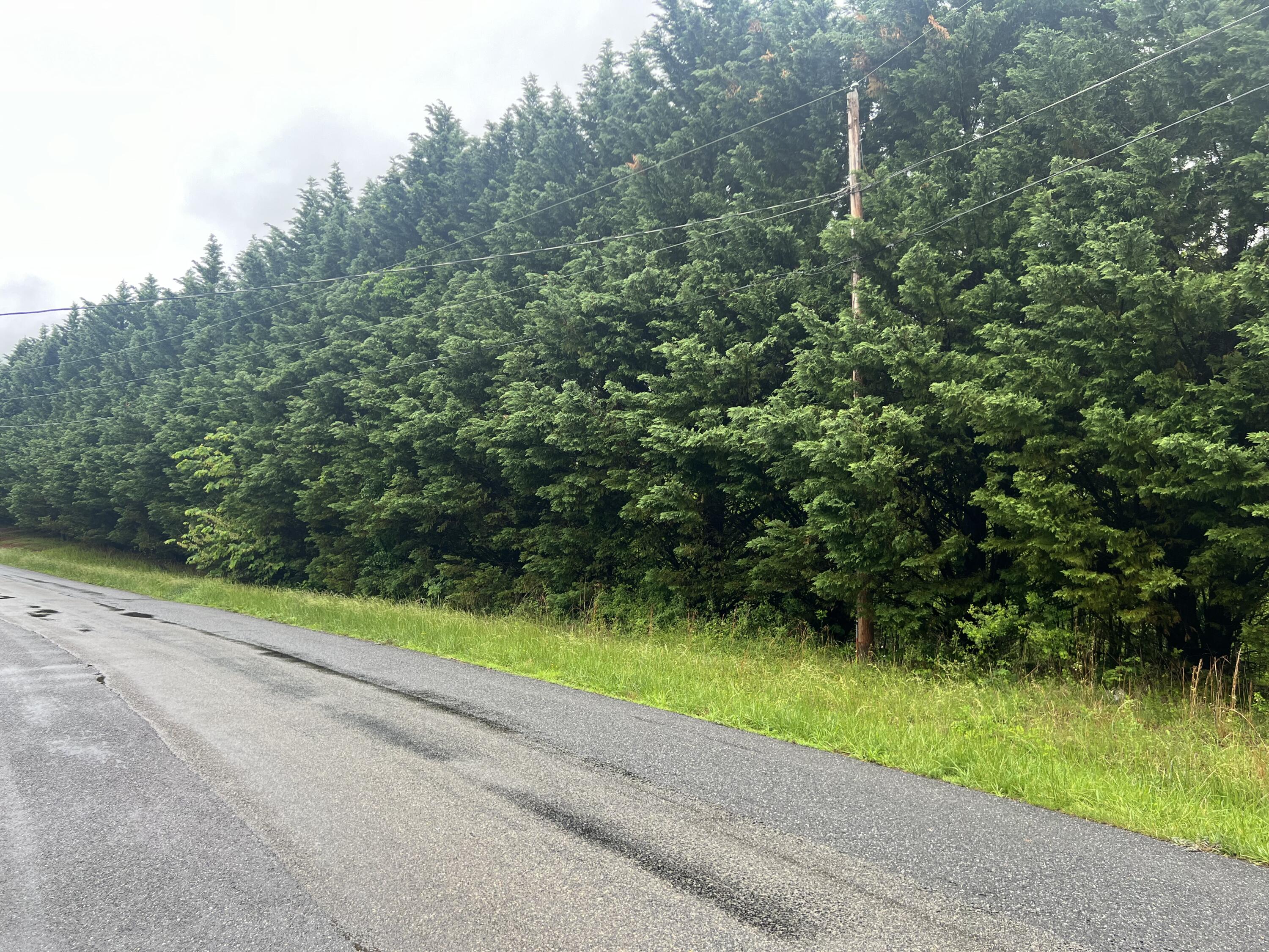 Nemmo Rd, Vinton, Virginia image 4