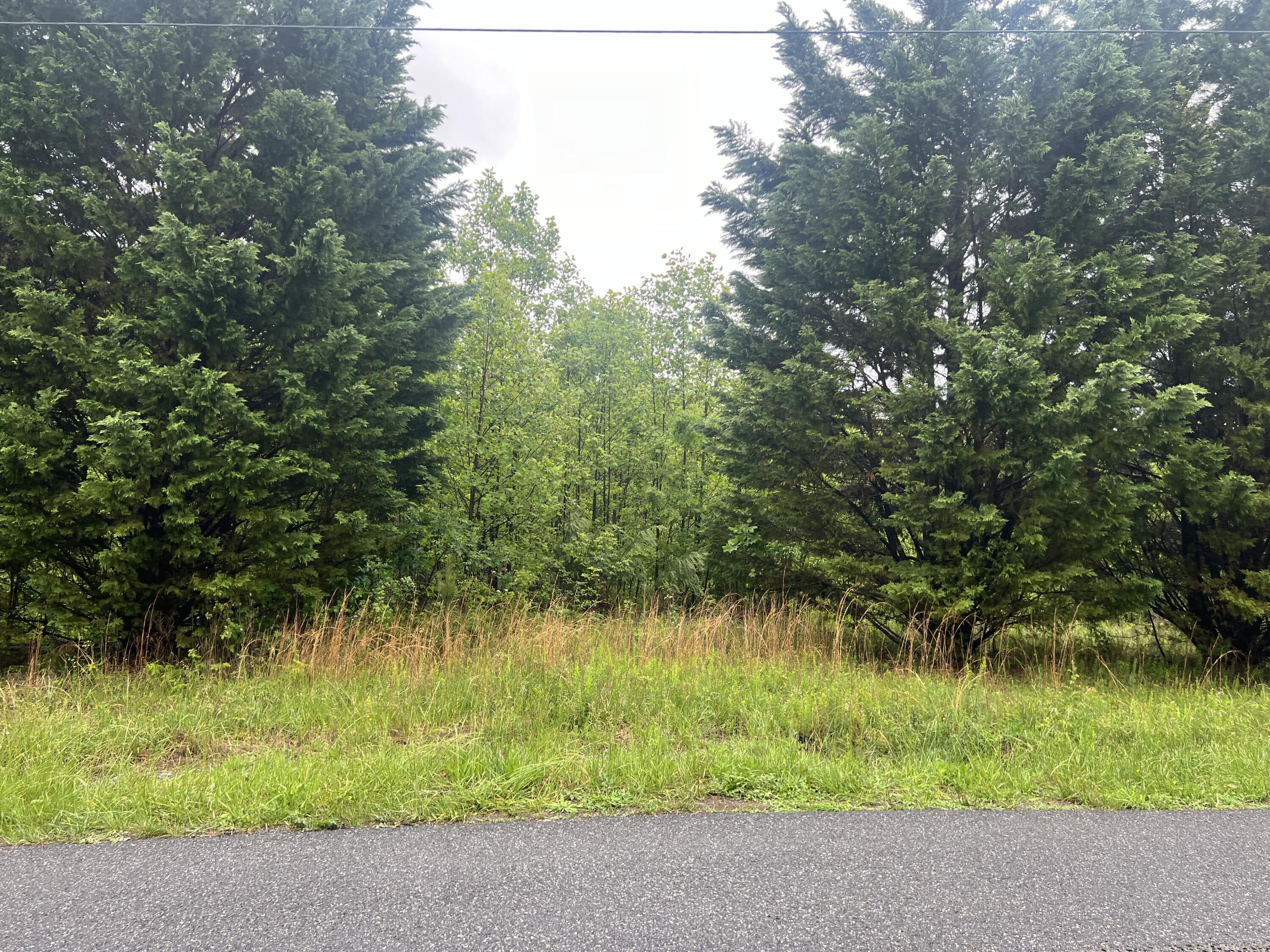 Nemmo Rd, Vinton, Virginia image 1