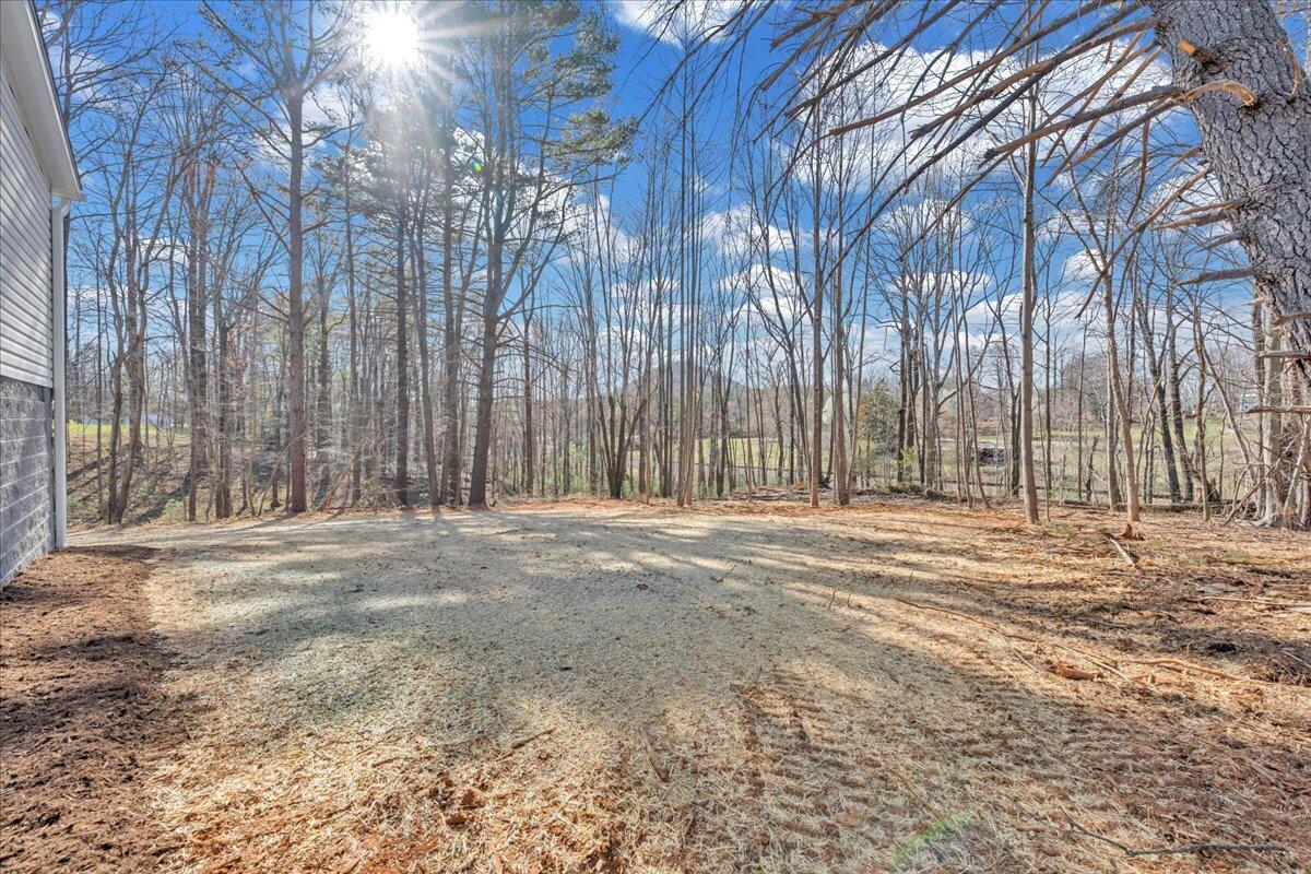 6554 Franklin St, Ferrum, Virginia image 33