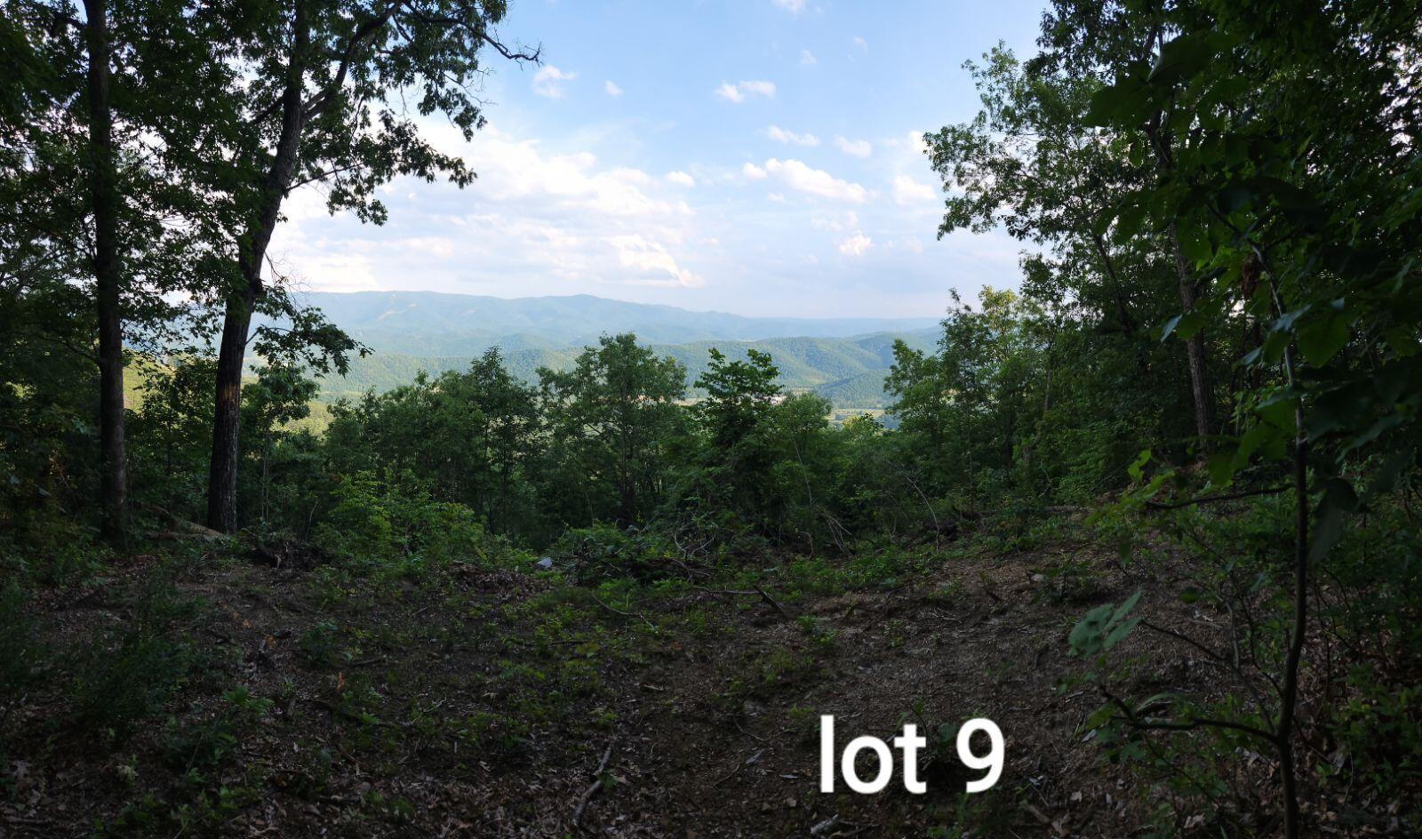 3280 Reese Mountain Rd, Elliston, Virginia image 1