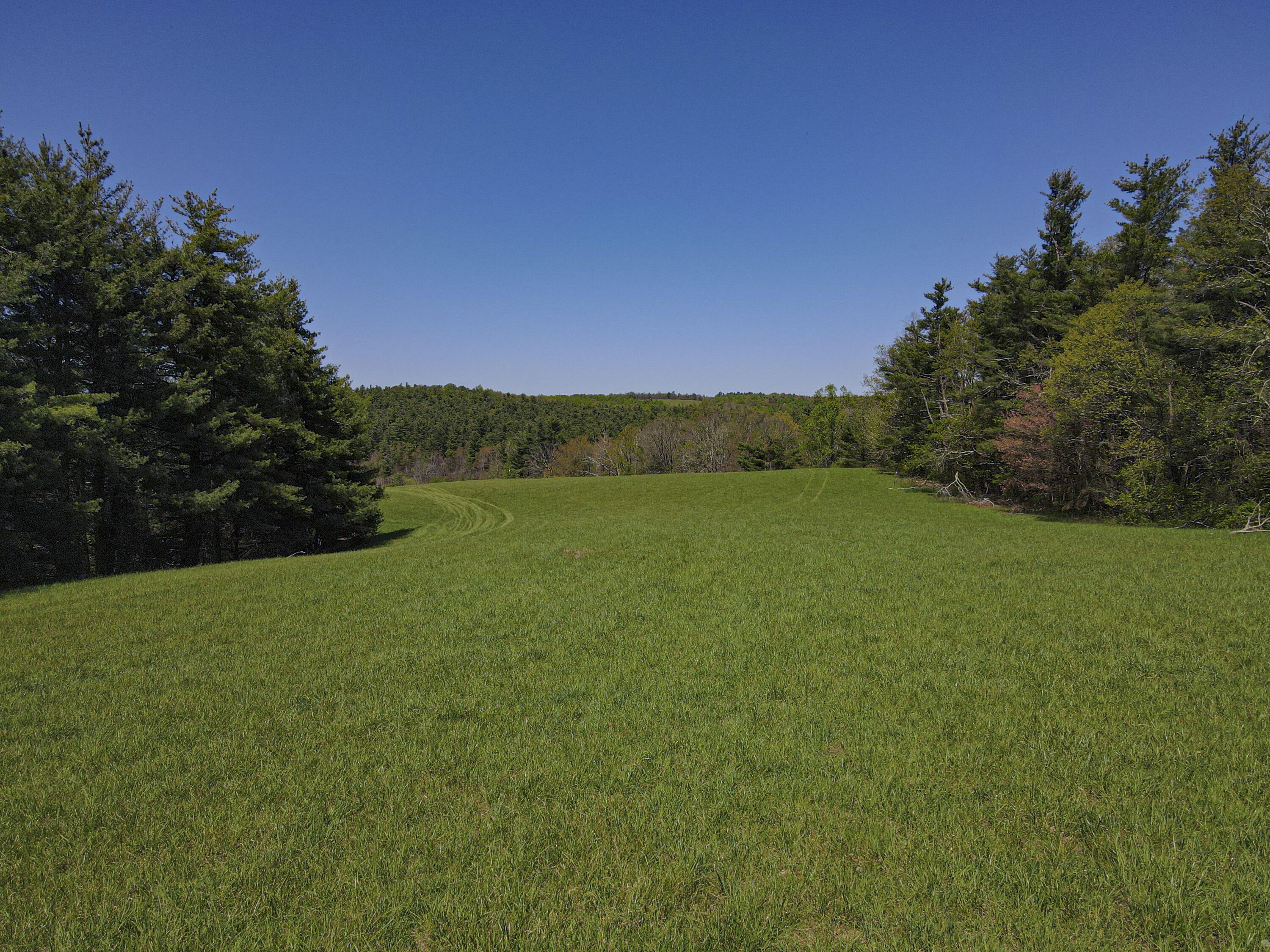 Tract 5 Conner Ln, Copper Hill, Virginia image 4