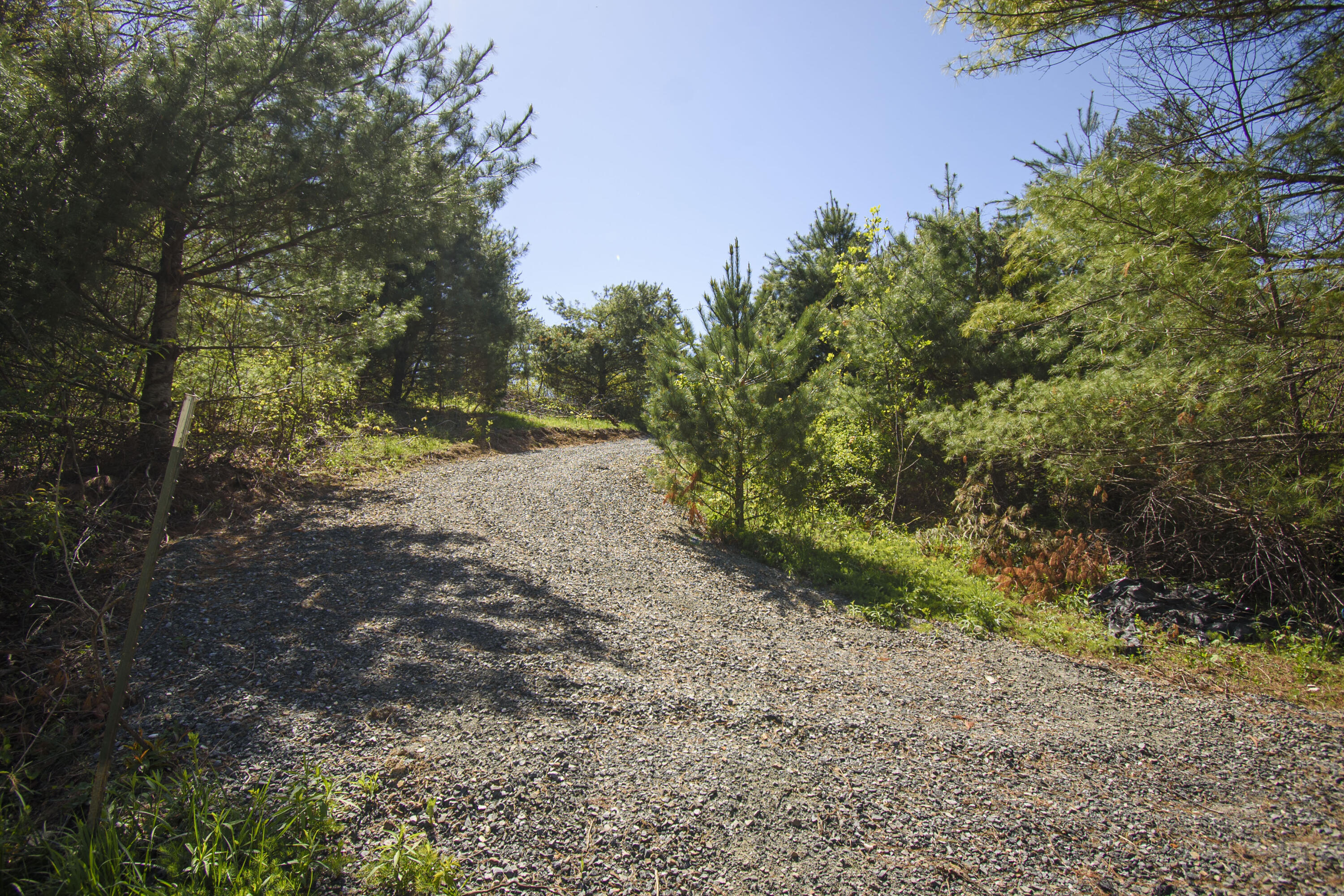 Tract 5 Conner Ln, Copper Hill, Virginia image 10