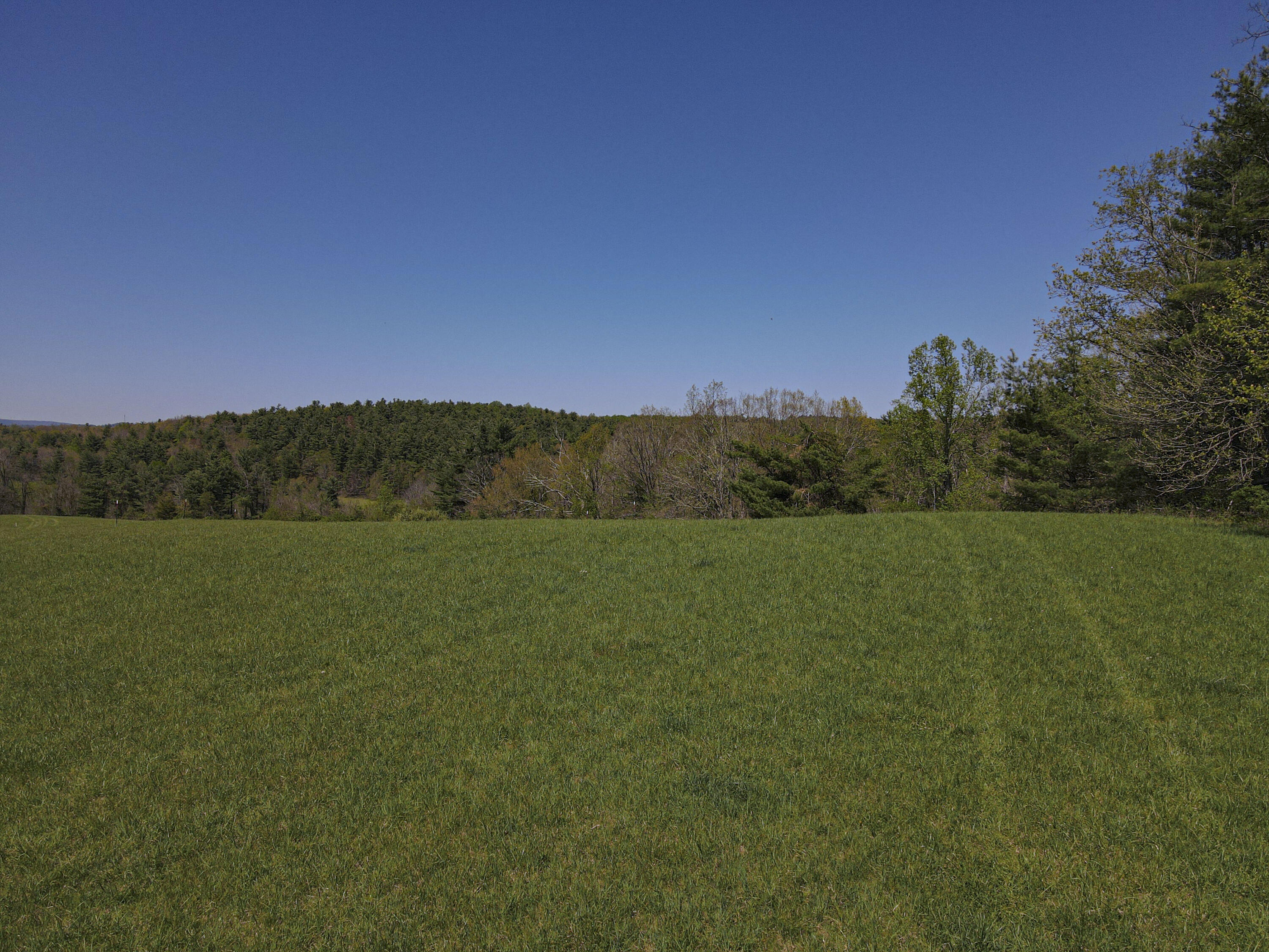 Tract 5 Conner Ln, Copper Hill, Virginia image 8
