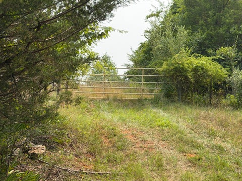 Vacant Land For Sale - Arcadia Rd<br/> Buchanan, VA 24066