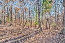 Lot 143 Oak Crest Dr, Moneta, Virginia image 50