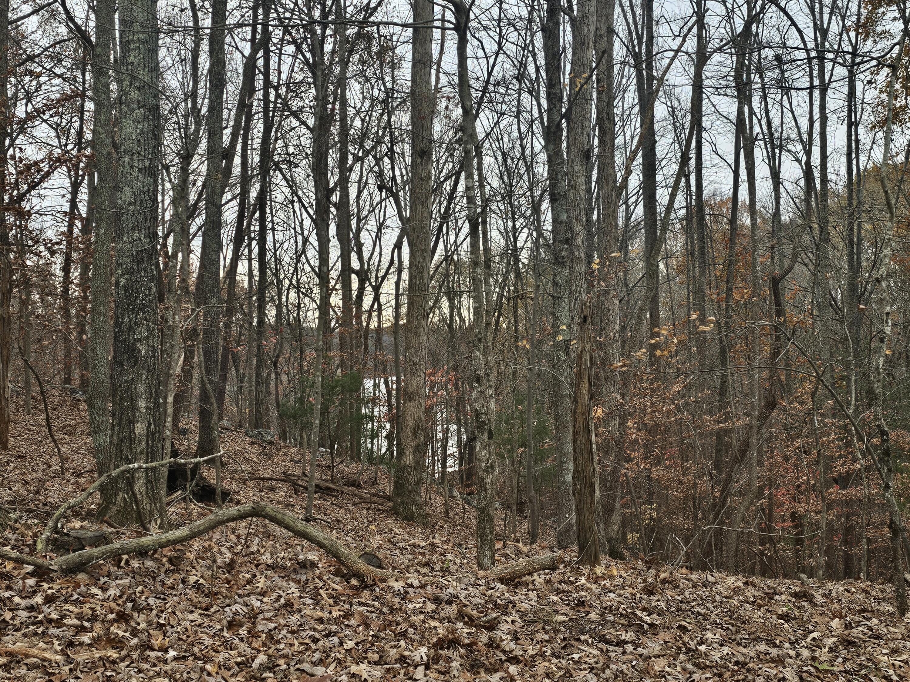 Lot 143 Oak Crest Dr, Moneta, Virginia image 46