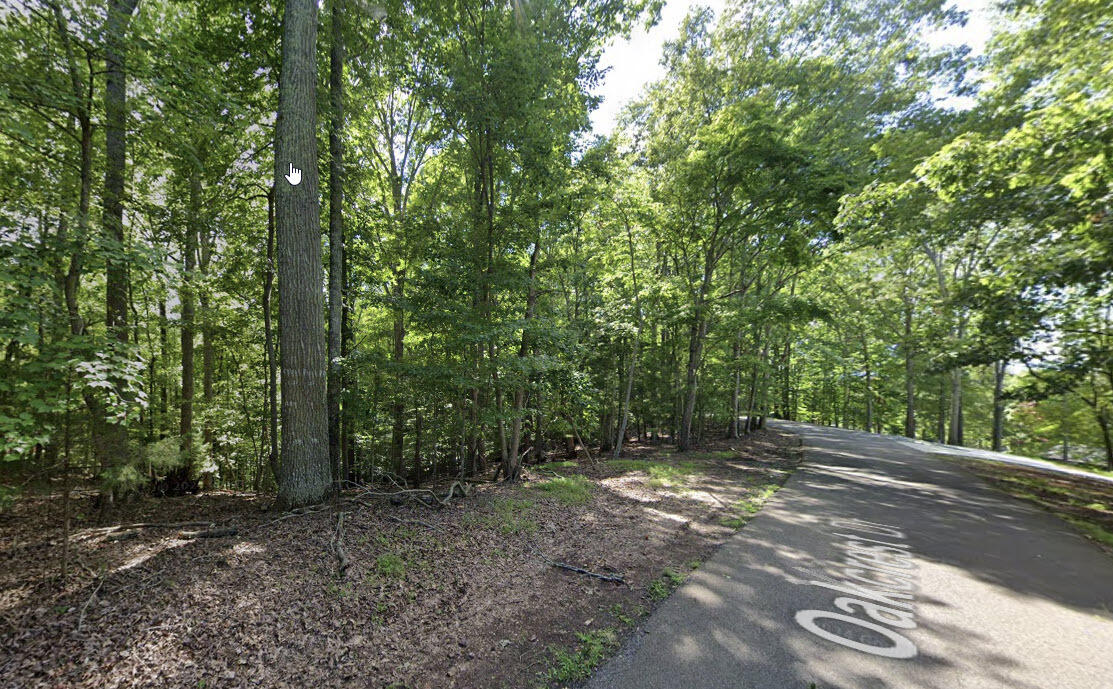 Lot 143 Oak Crest Dr, Moneta, Virginia image 17