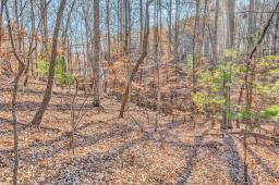 Lot 143 Oak Crest Dr, Moneta, Virginia image 49