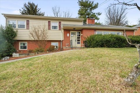 Homes For Sale - 3636 Grandview Ave<br/> Roanoke City County, Roanoke, VA 24012