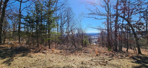 Vacant Land For Sale - LOT 46 Summit Dr<br/> Franklin County, Rocky Mount, VA 24151