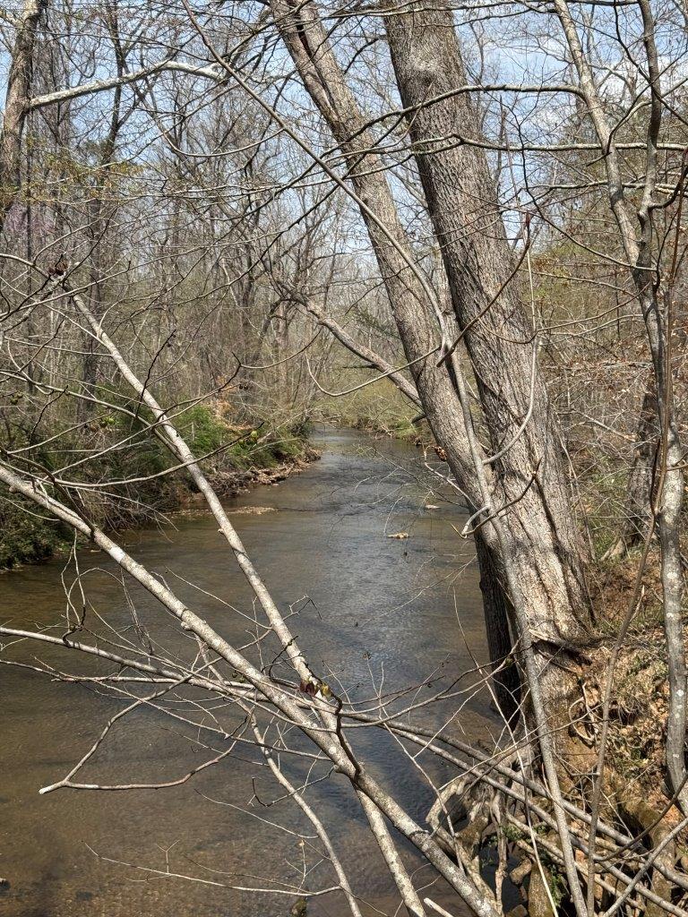 1630 Taylor Tyree Rd, Rocky Mount, Virginia image 14