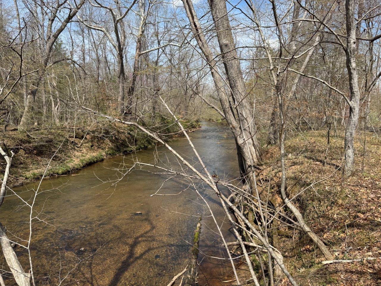 1630 Taylor Tyree Rd, Rocky Mount, Virginia image 16